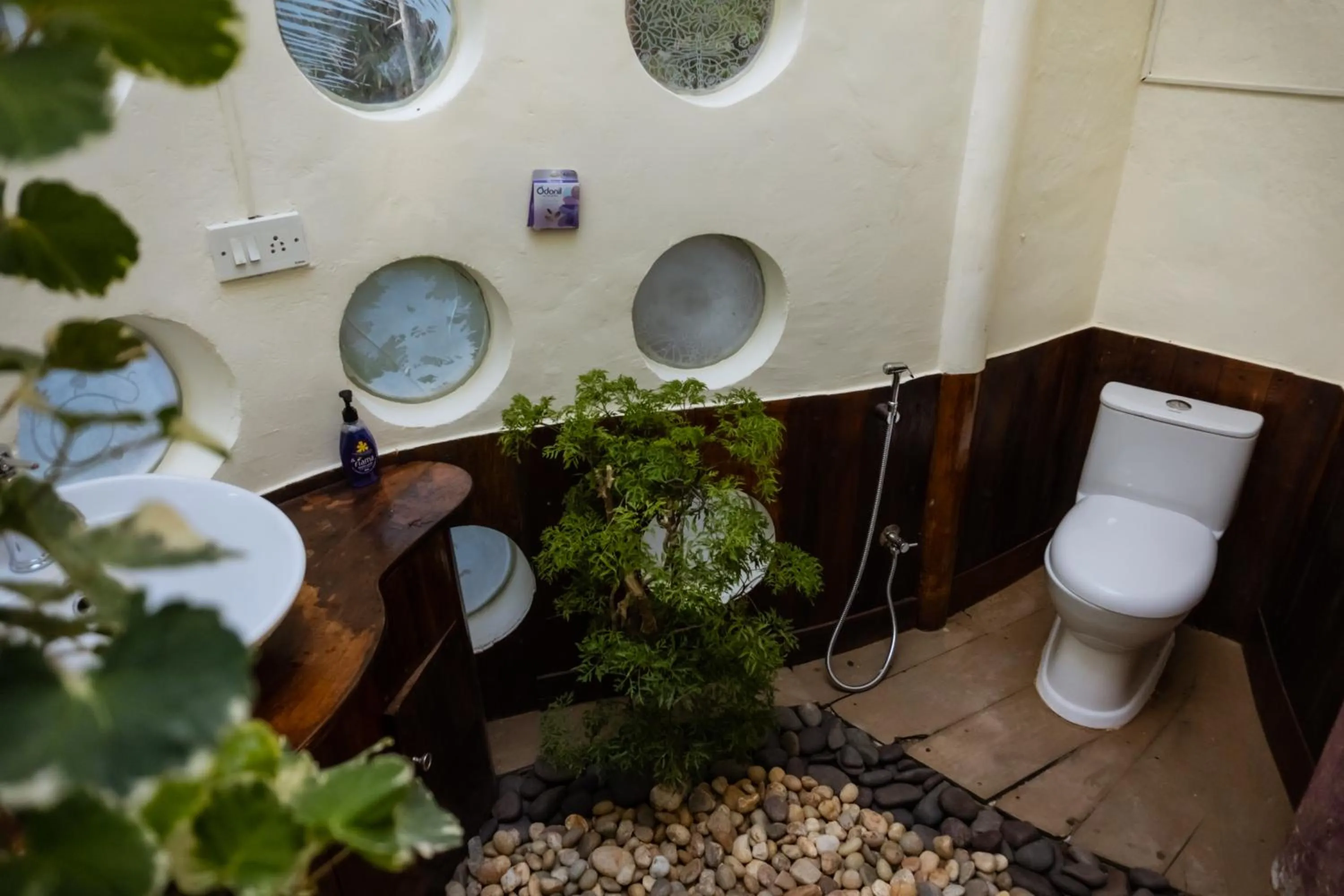 Eden Garden By Cliff Way