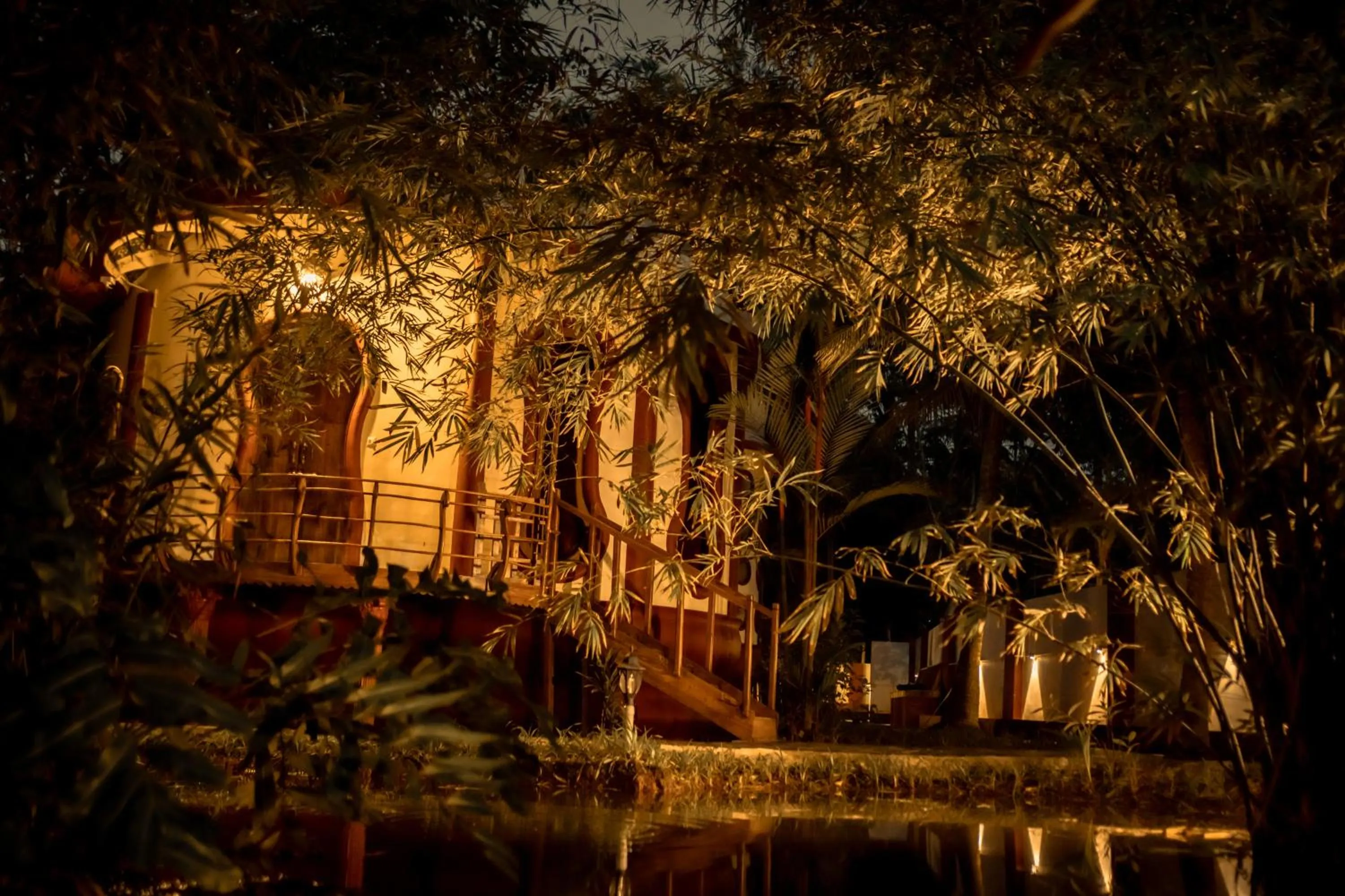 Eden Garden By Cliff Way