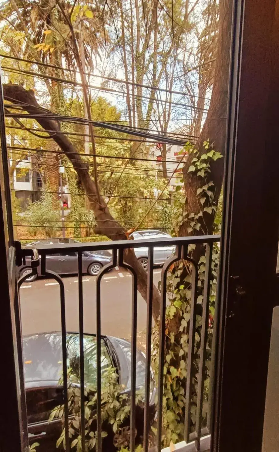 Double Room with Balcony in Casa Altata Hotel Boutique Double Room with Balcony in Casa Altata Hotel Boutique