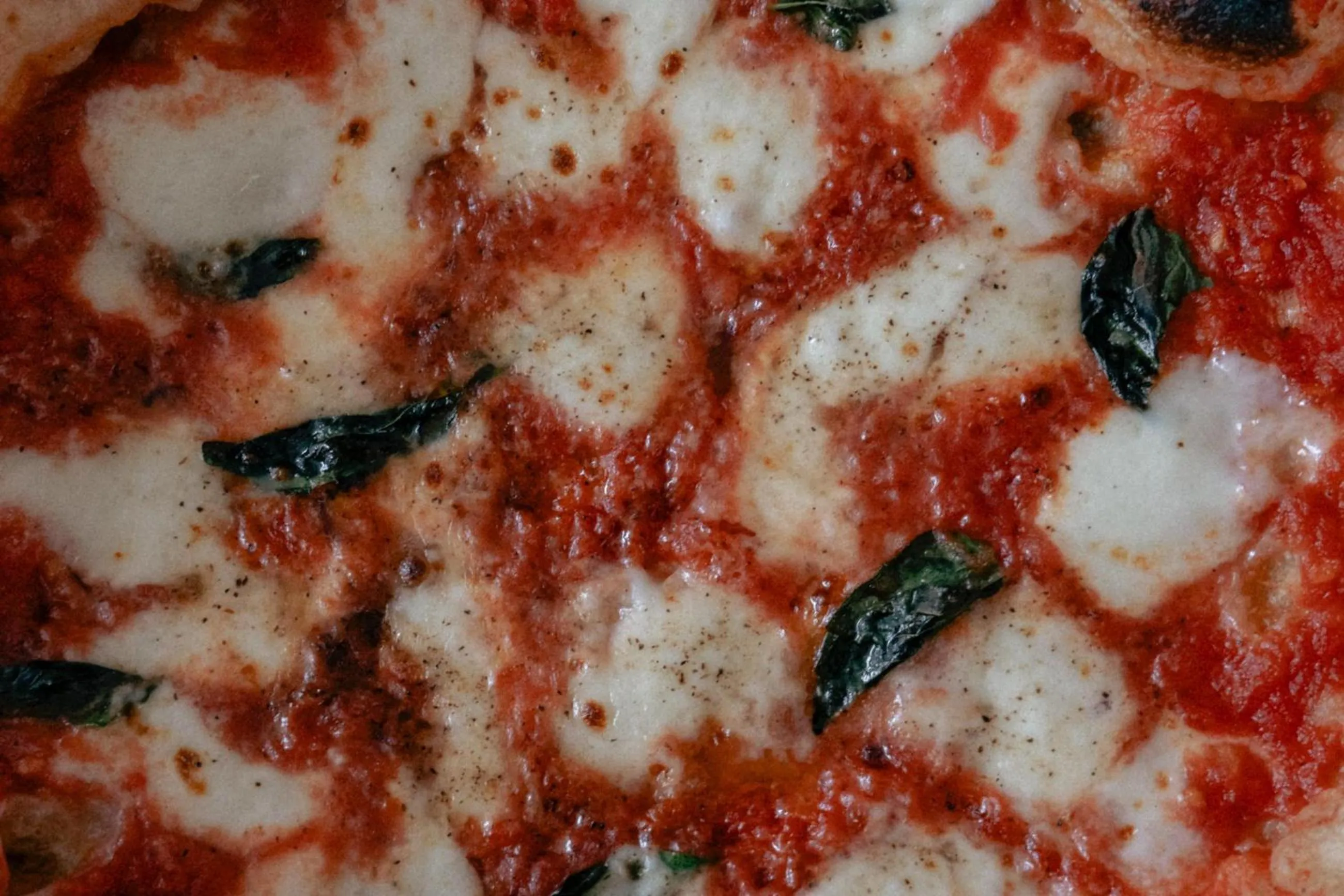 Restaurant/places to eat in Mezcal Hotel