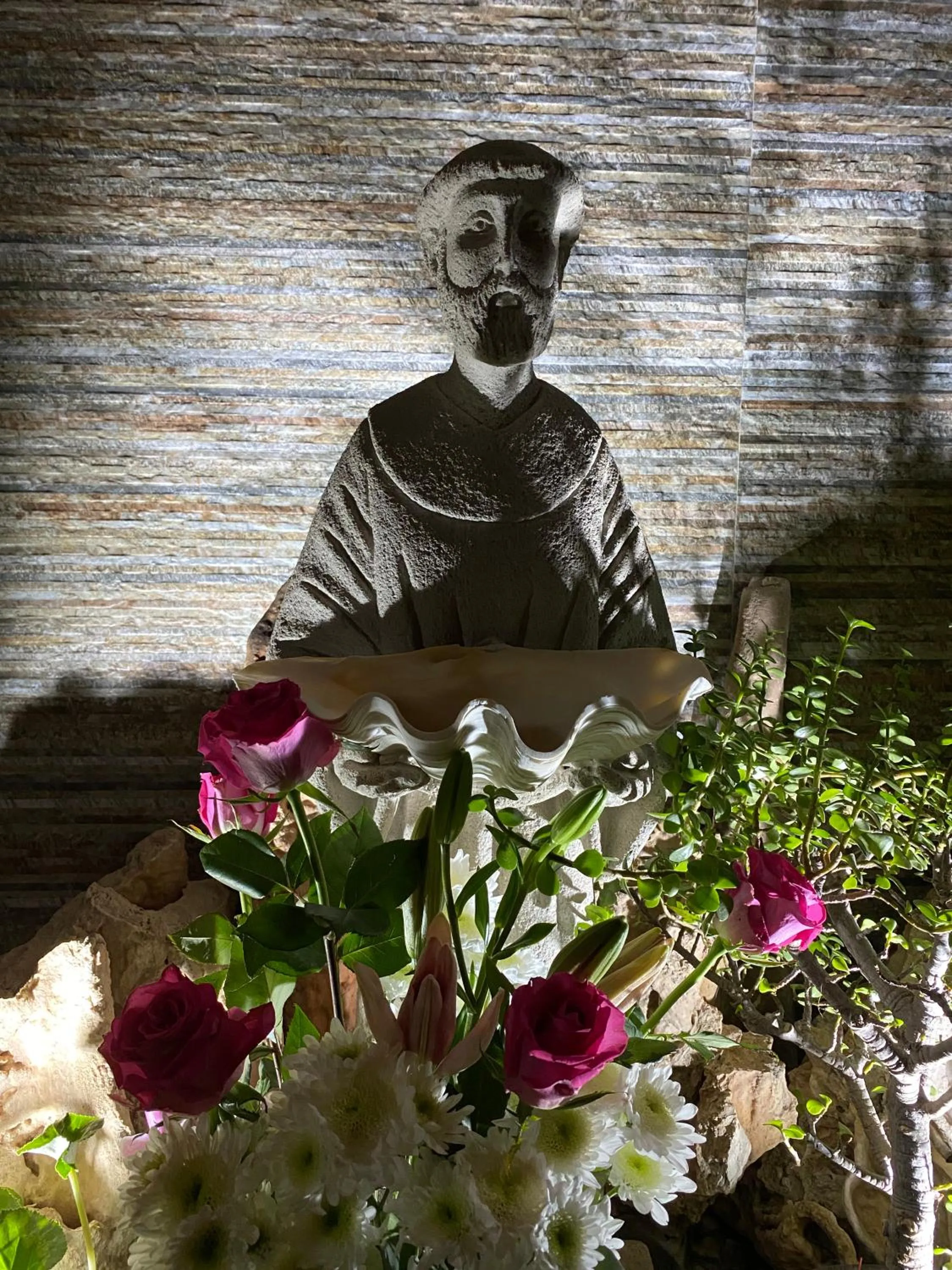 Garden in Posada Temazcal Santo Domingo