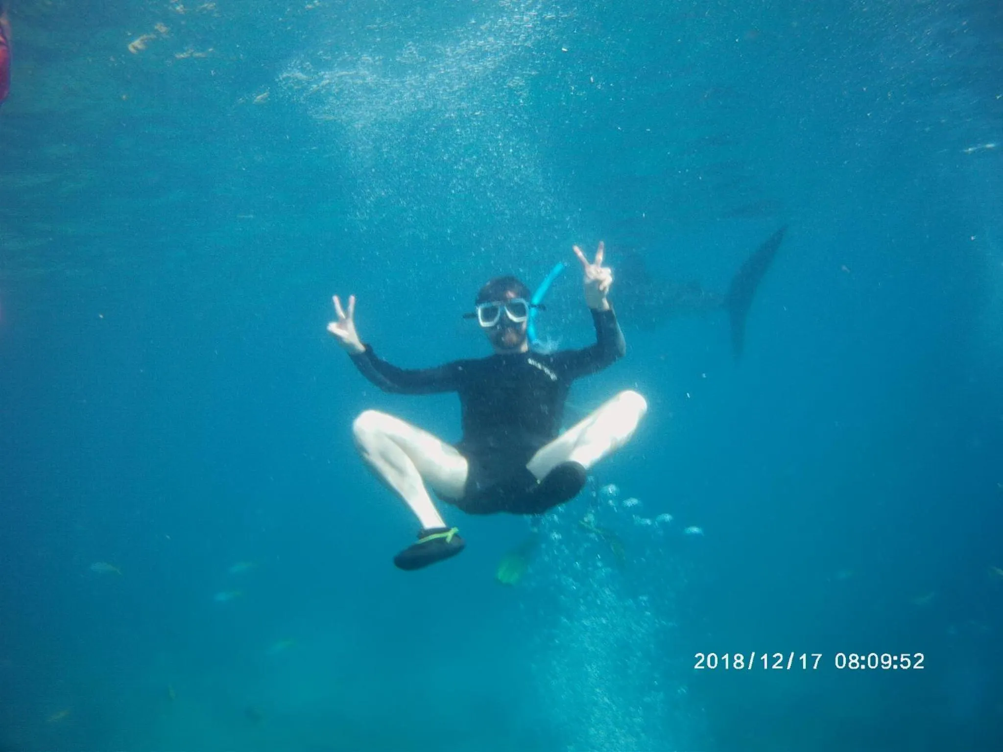 Activities in Sascha's Resort Oslob