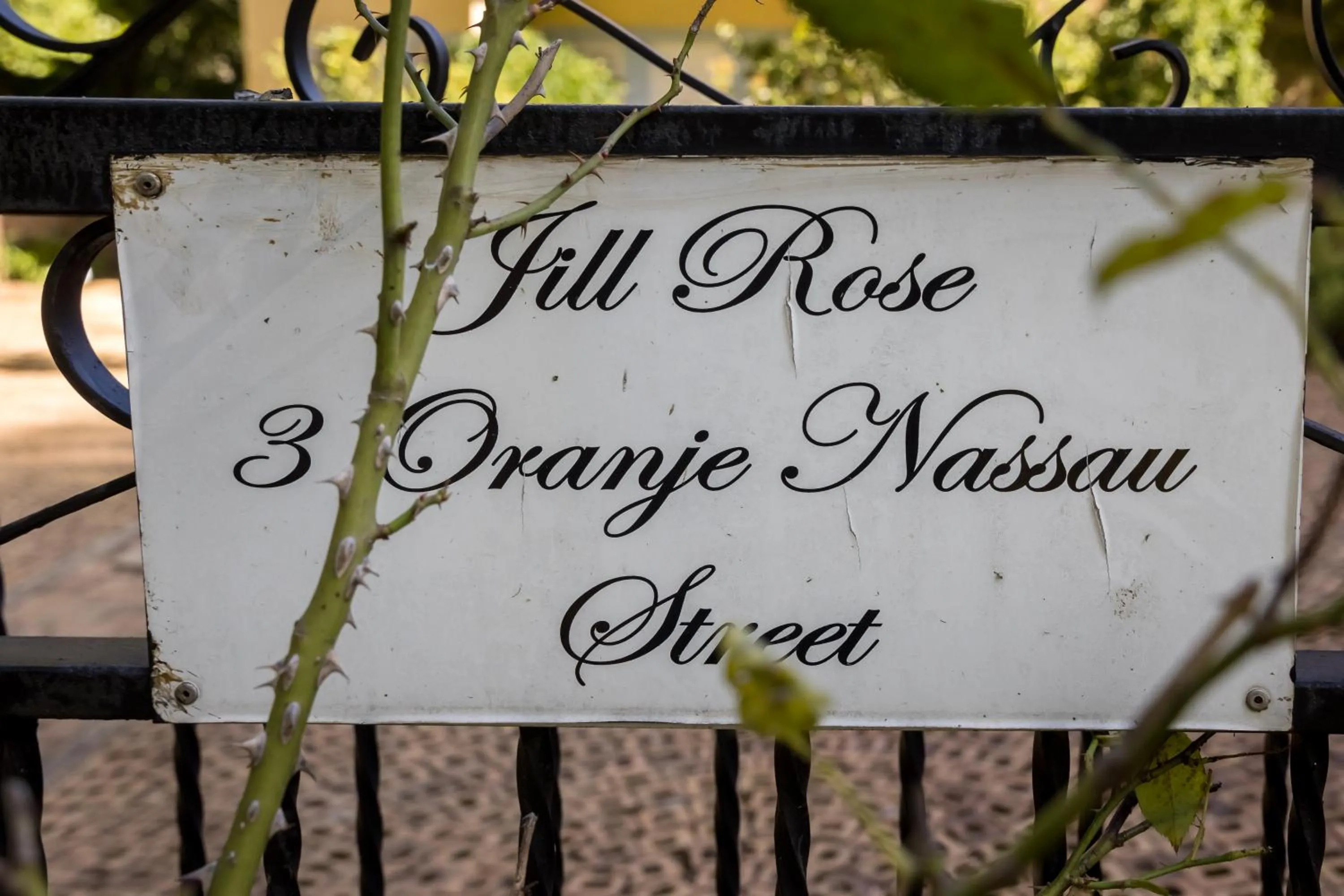 Luxury Double or Twin Room - single occupancy - 3 Oranje Nassau Street in The Rose Cottage B&B