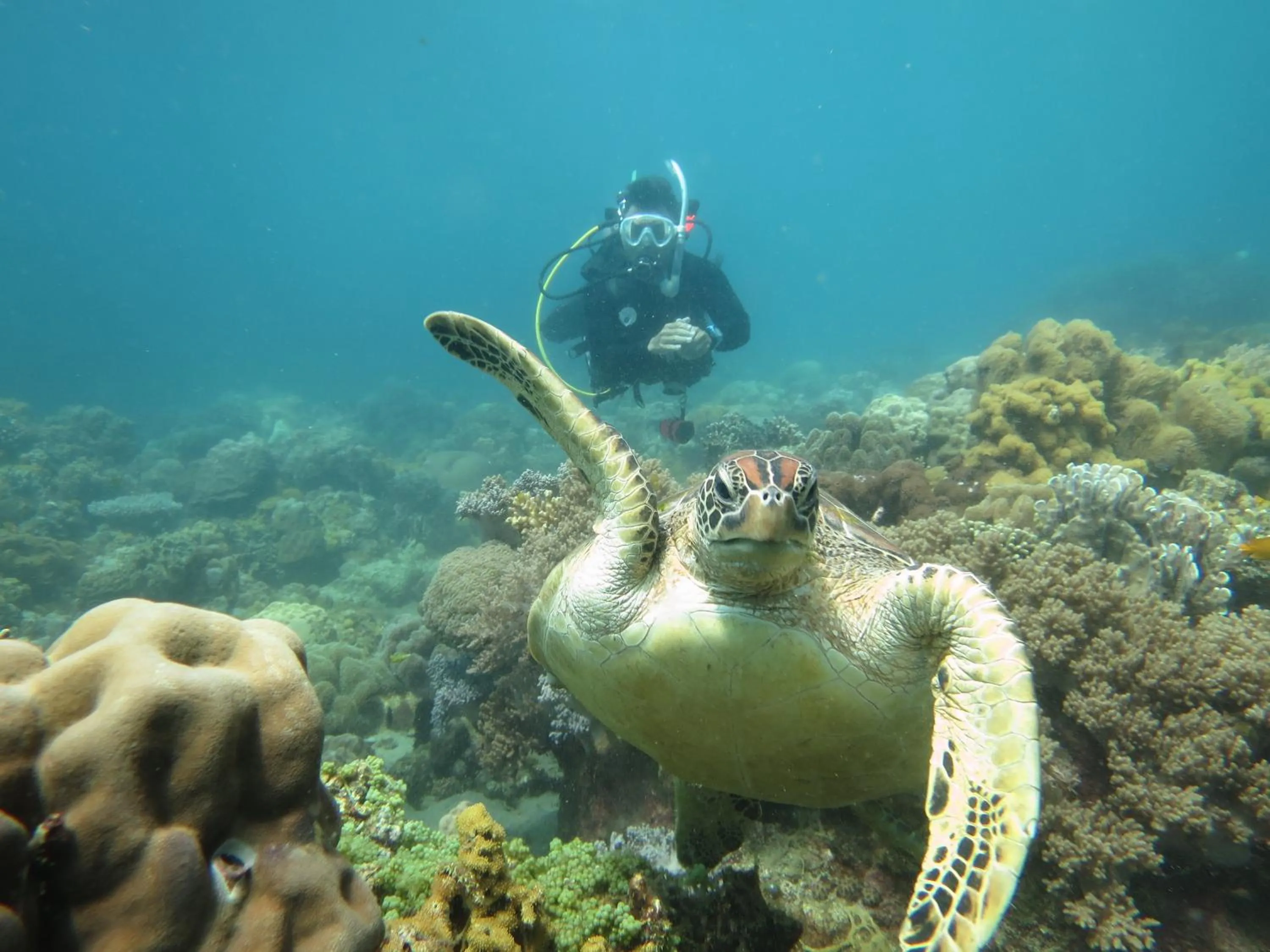 Activities in Mad Monkey Siquijor