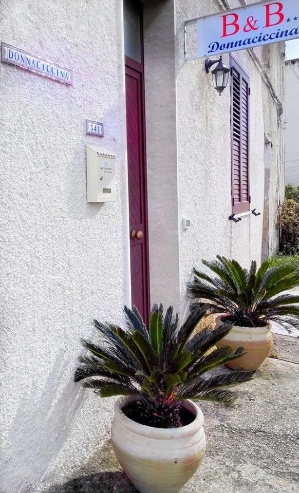 Property building in Donnaciccinatrapani