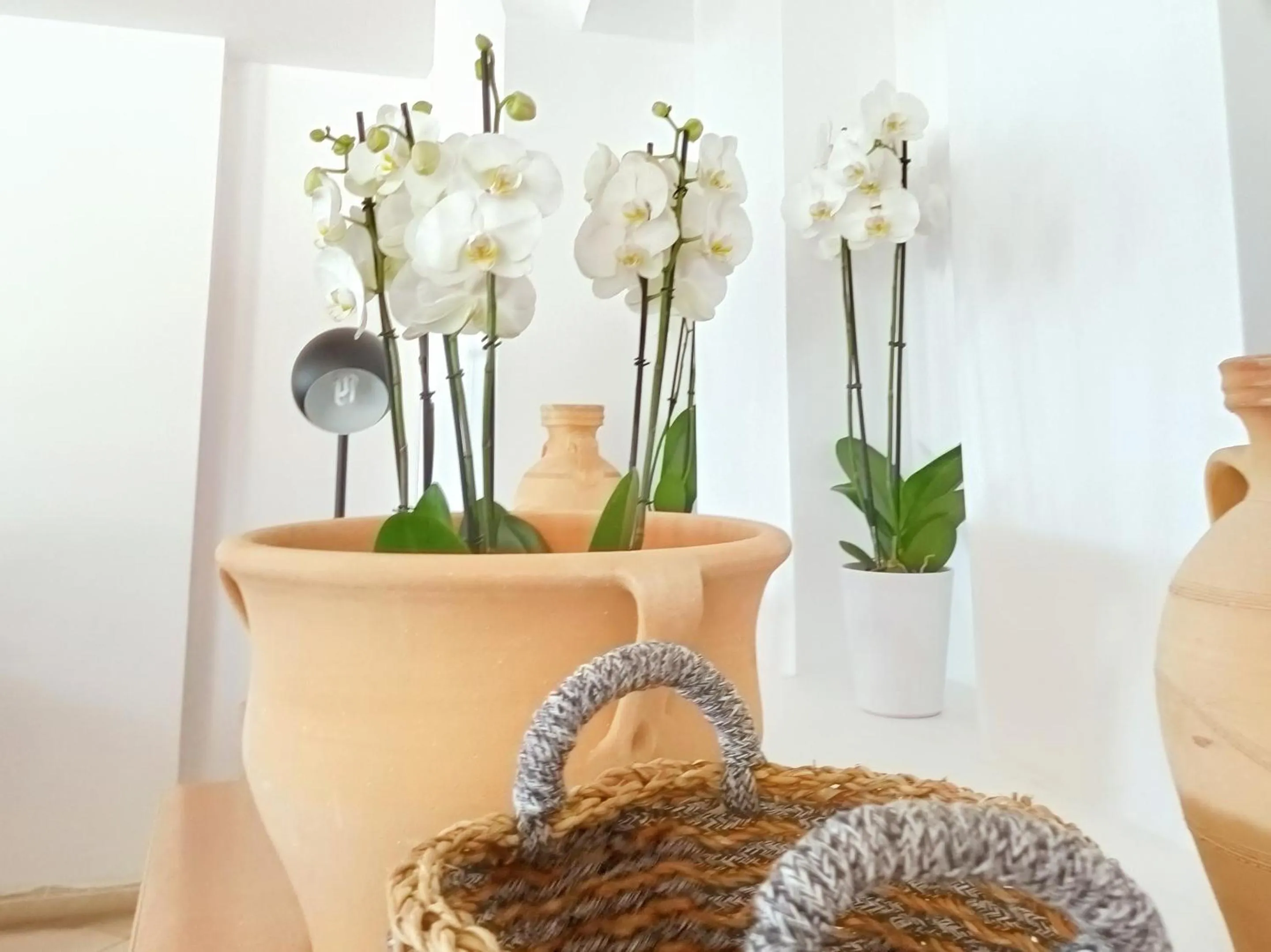 Decorative detail in Grecotel Casa Paradiso