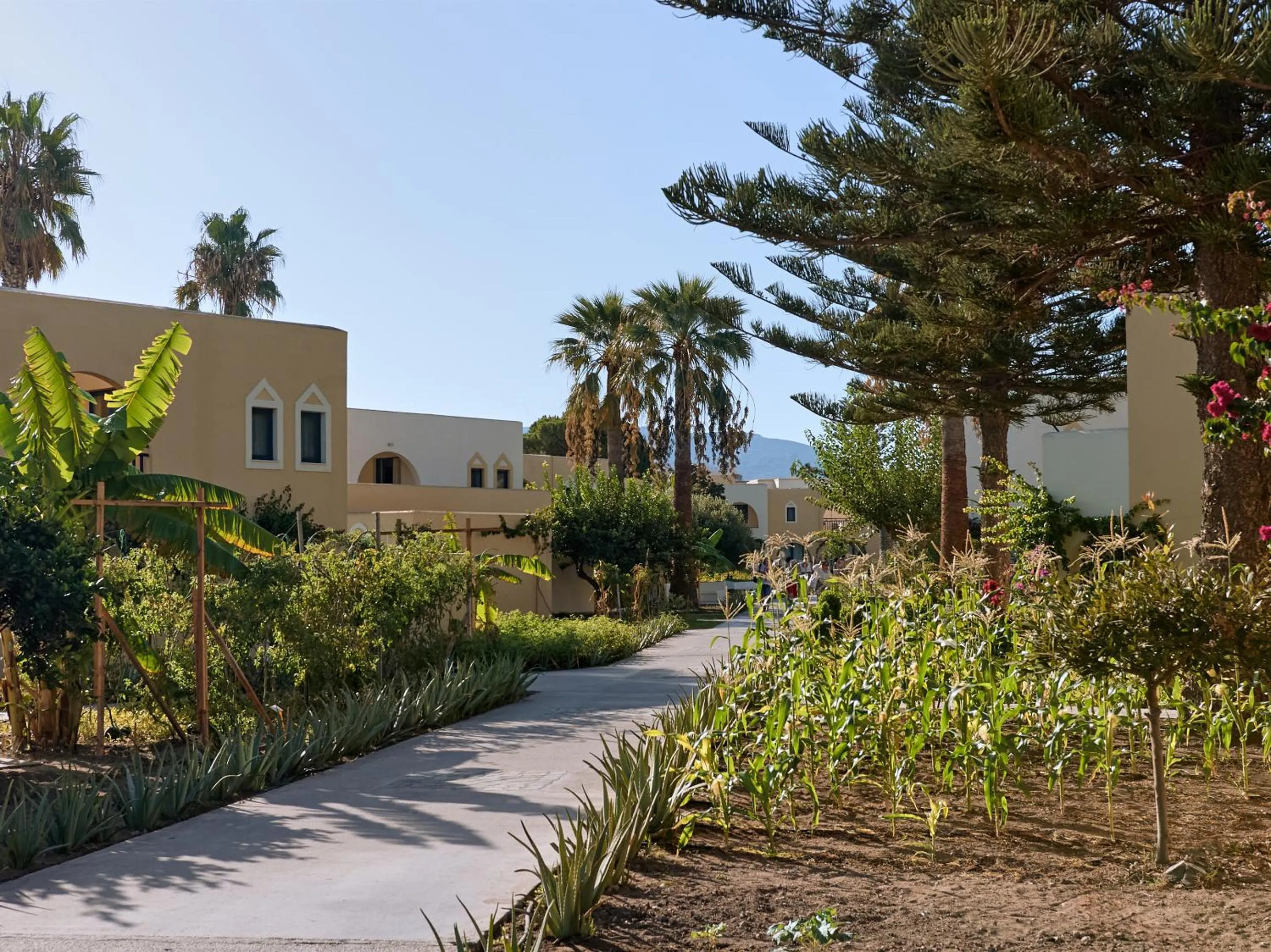 Natural landscape in Grecotel Casa Paradiso