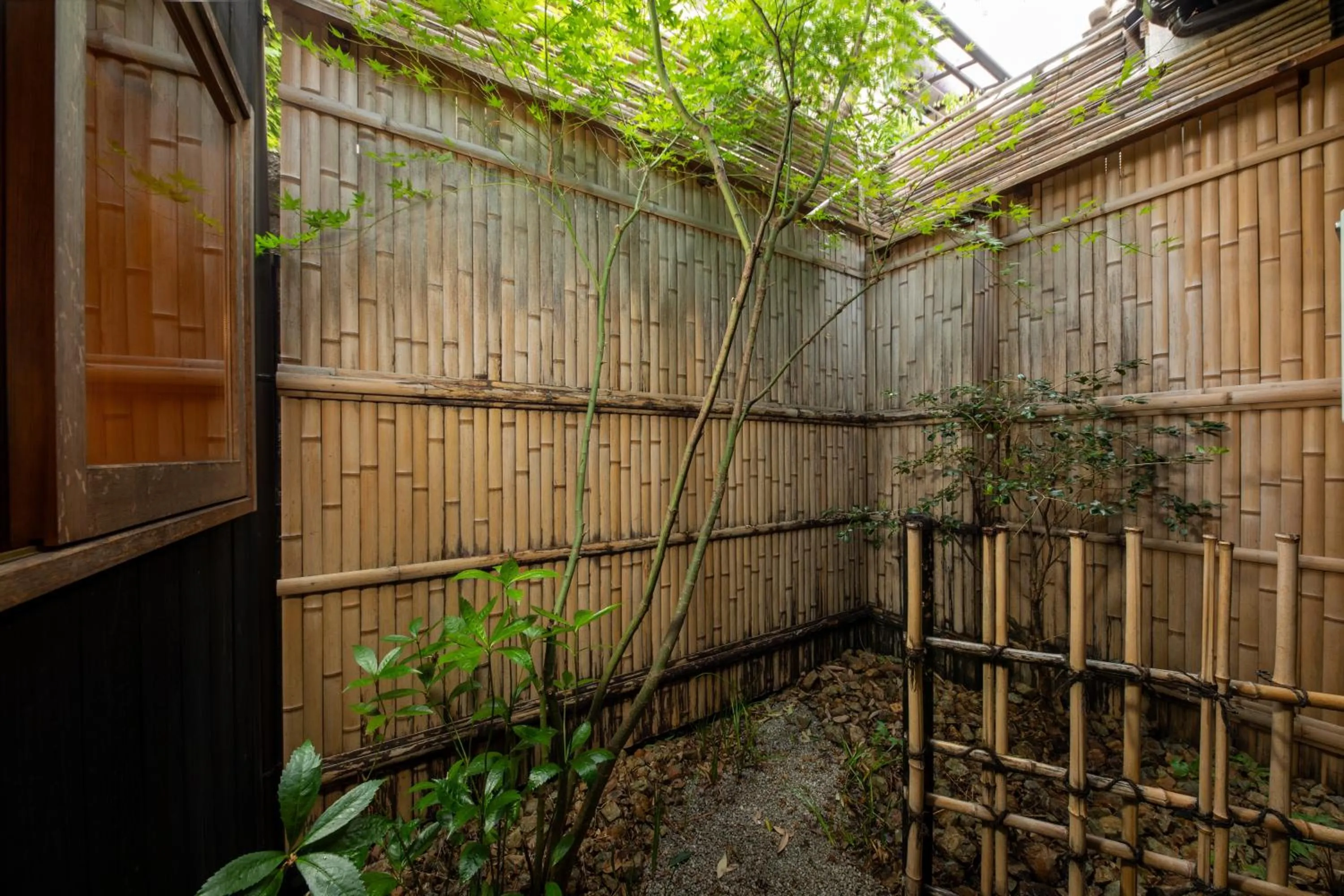 Garden in Kanade Sanjusangendo