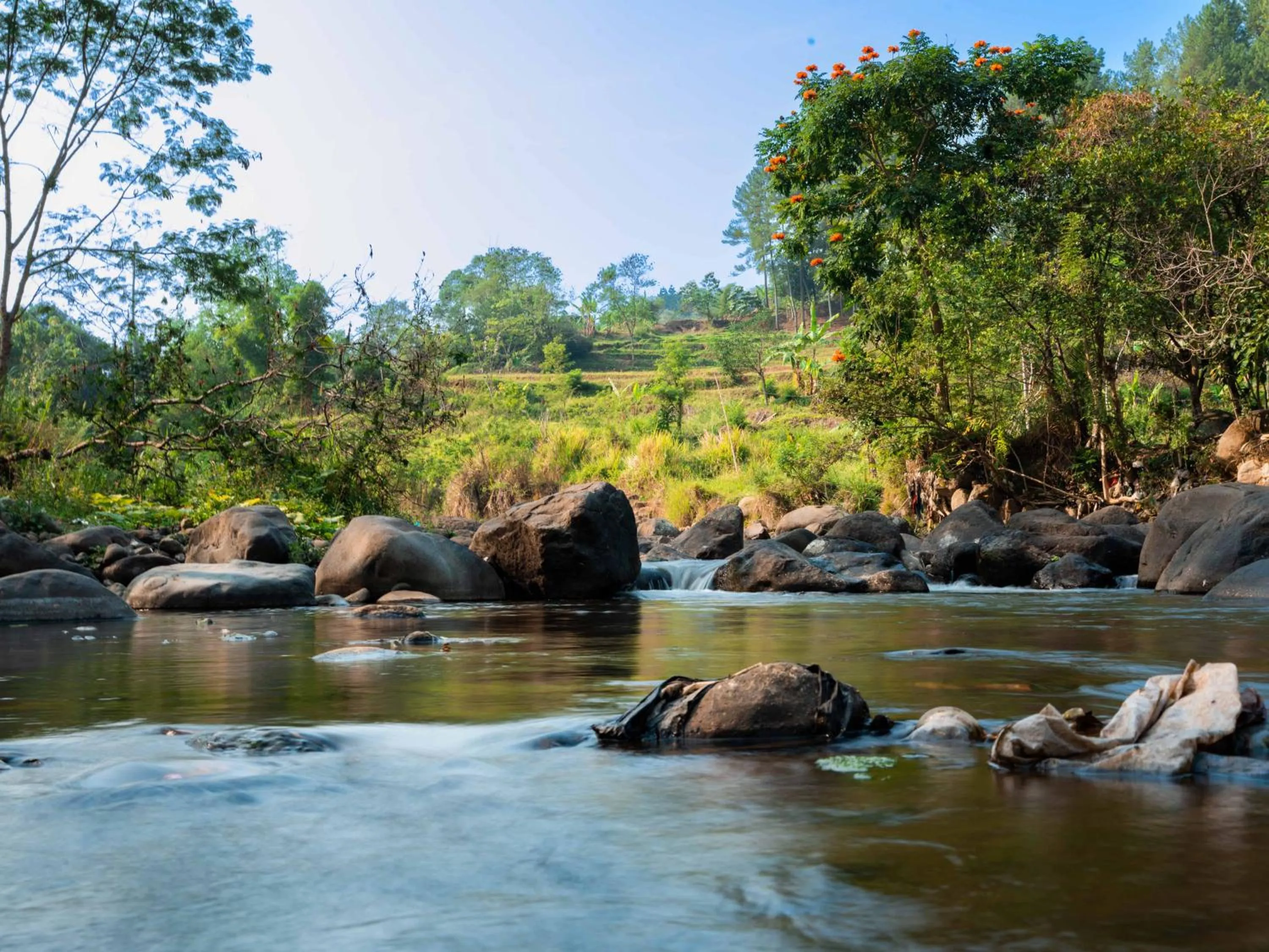 Bobocabin The Tavia, Puncak