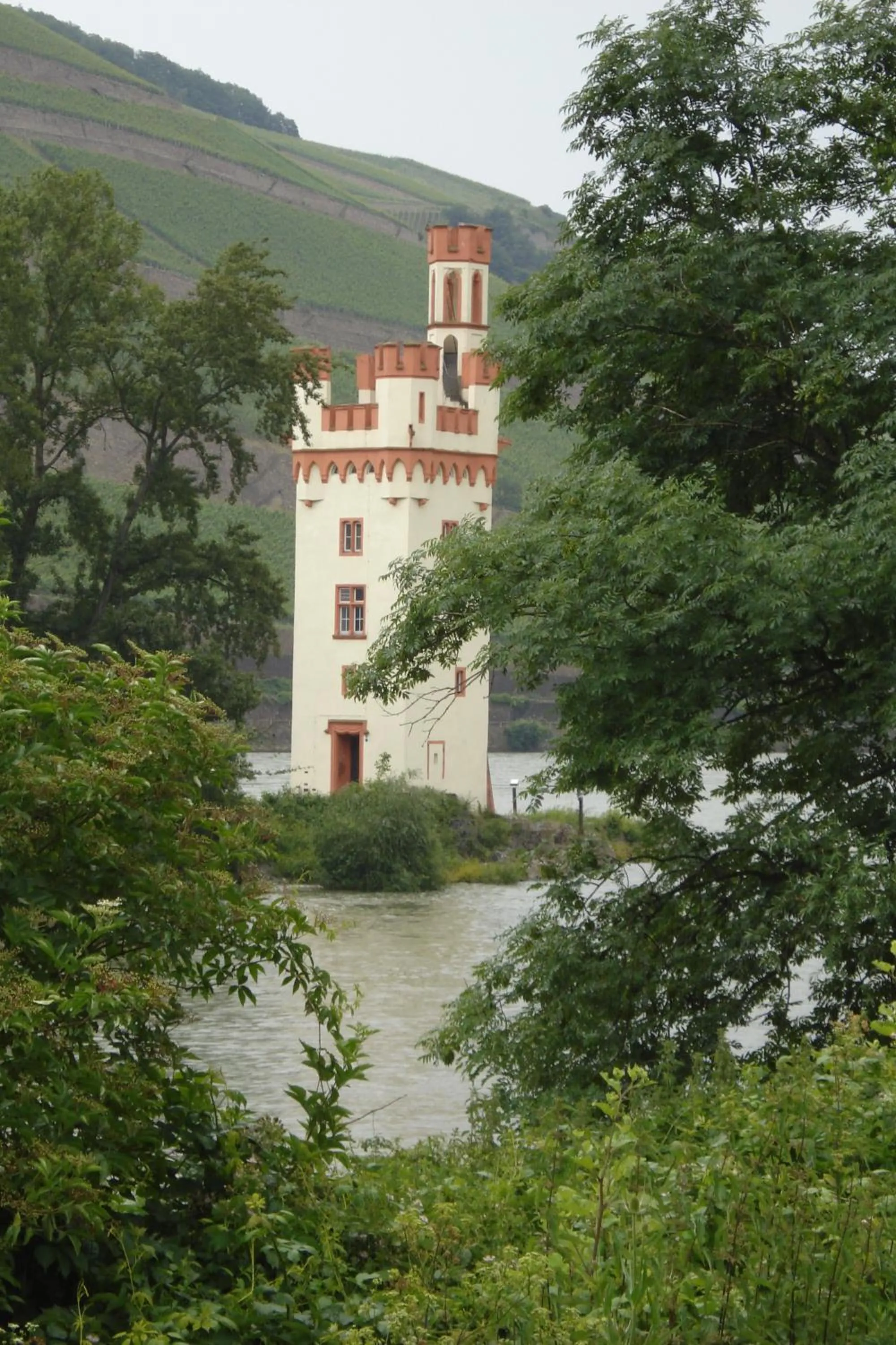 Activities in Hotel Gasthof Schuster und Gästehaus