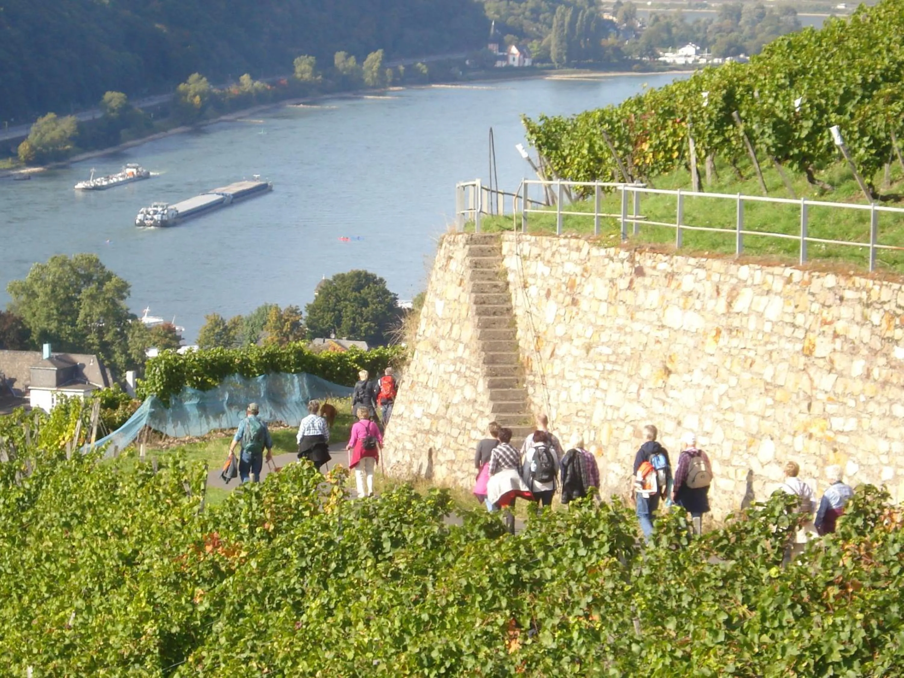 Hiking in Hotel Gasthof Schuster und Gästehaus