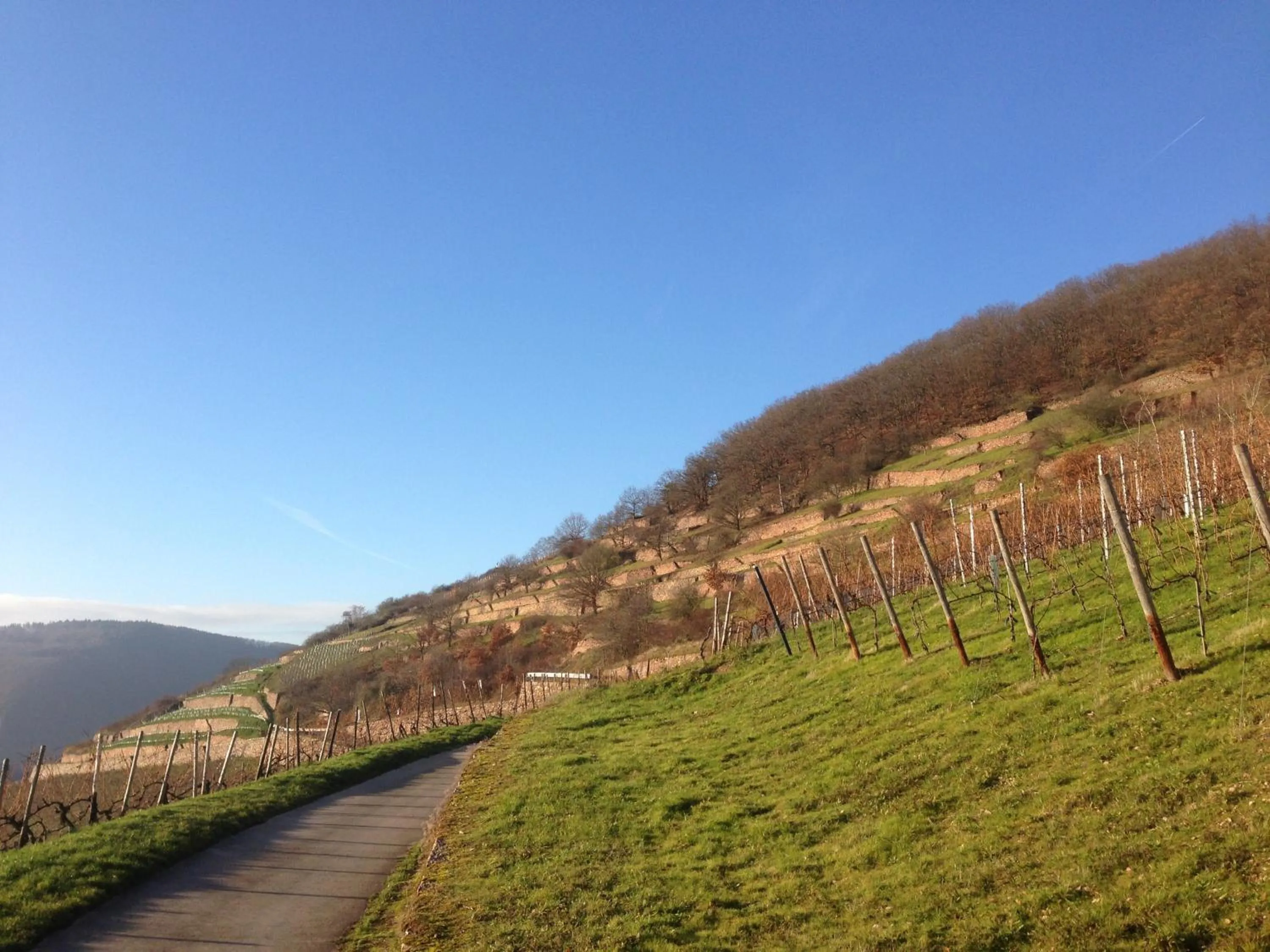Natural landscape in Hotel Gasthof Schuster und Gästehaus