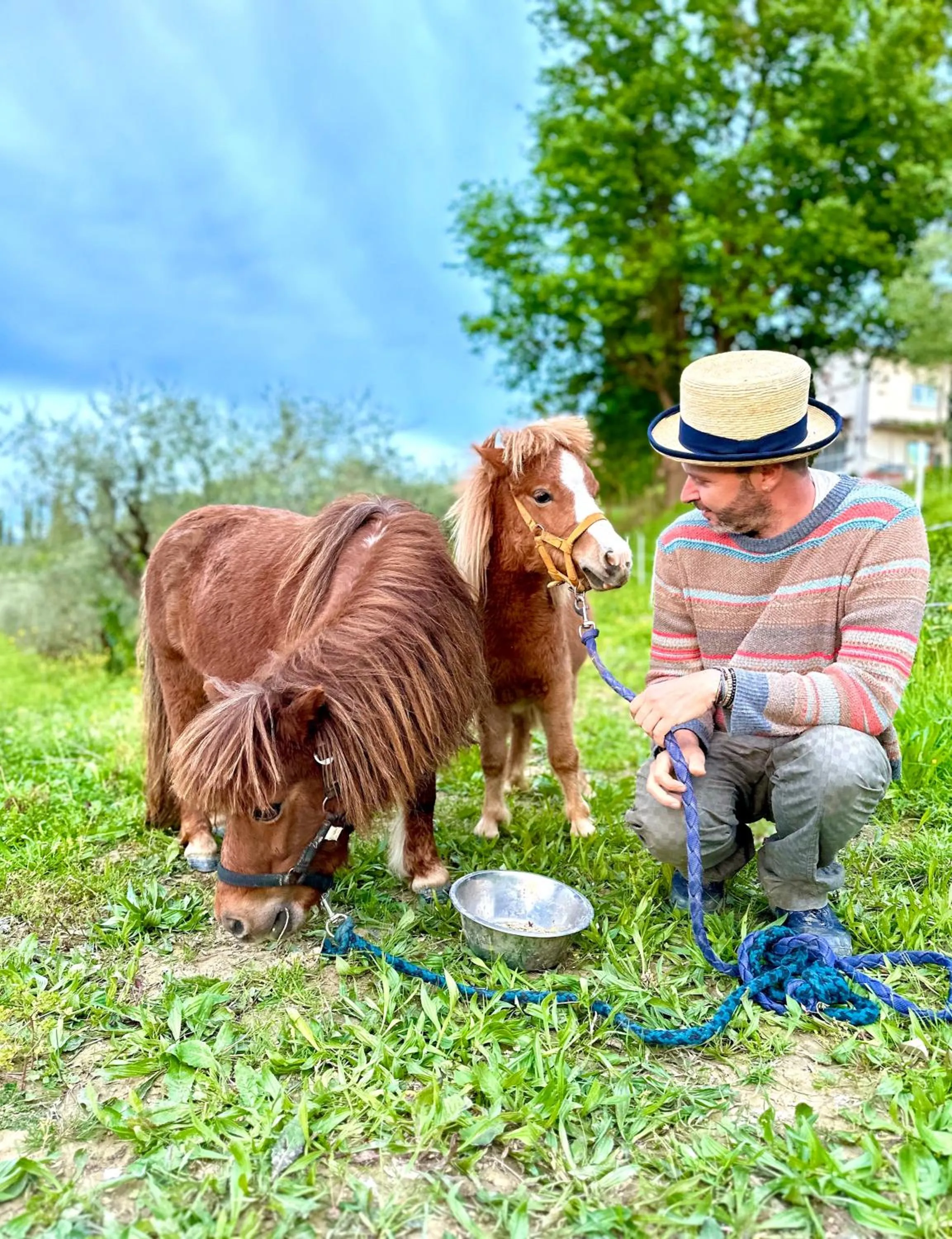 Agriturismo La Pineta