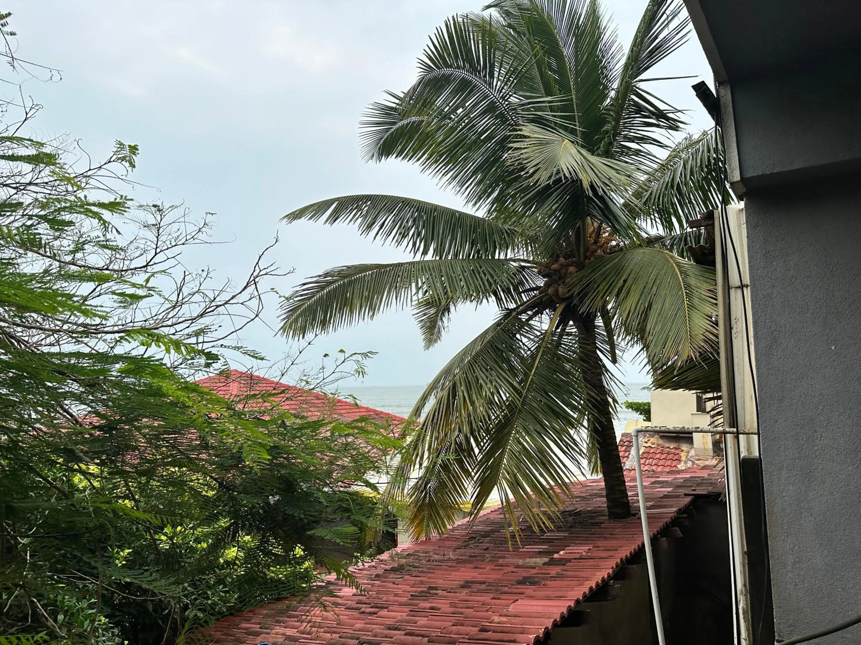 Day in Hotel Salty Waves Baga