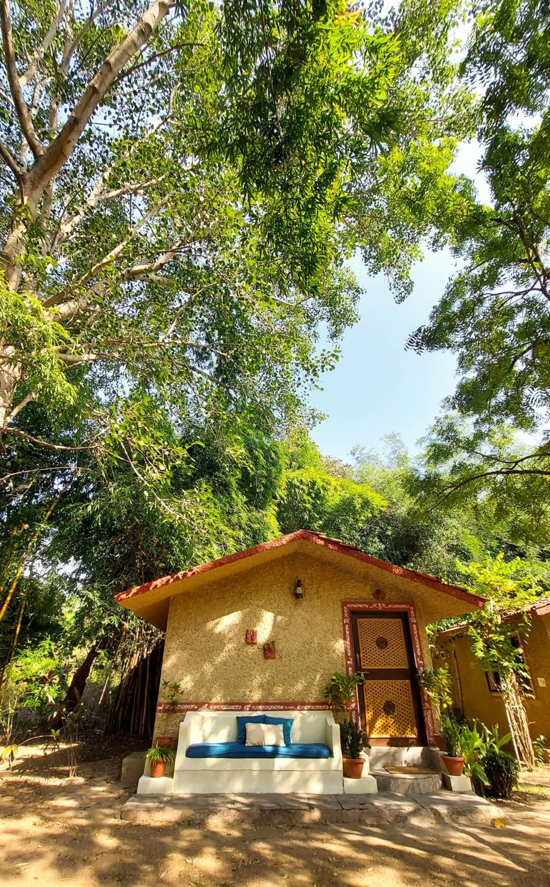 View (from property/room) in Bandhavgarh Jungle Lodge