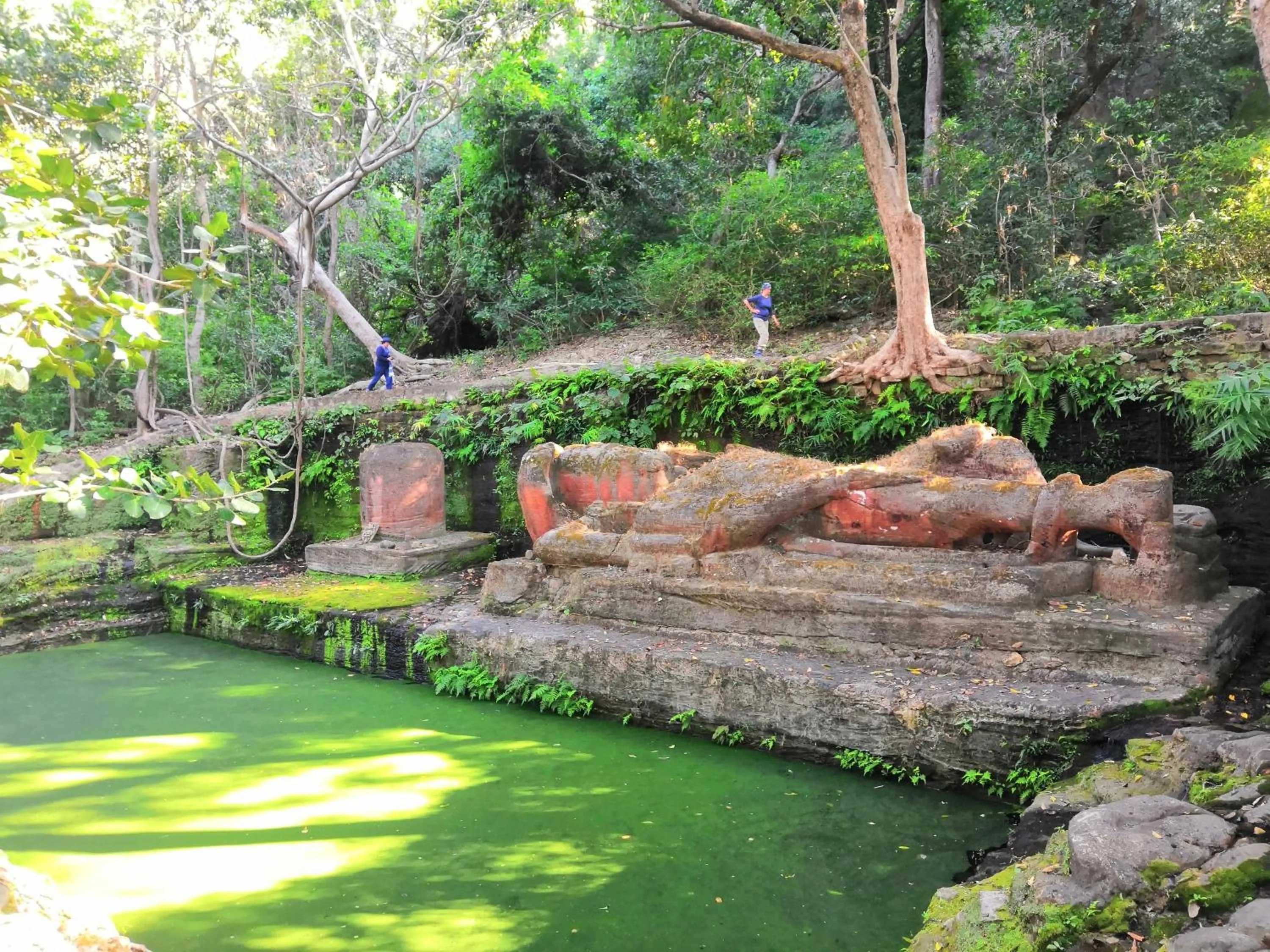 Natural landscape in Bandhavgarh Jungle Lodge