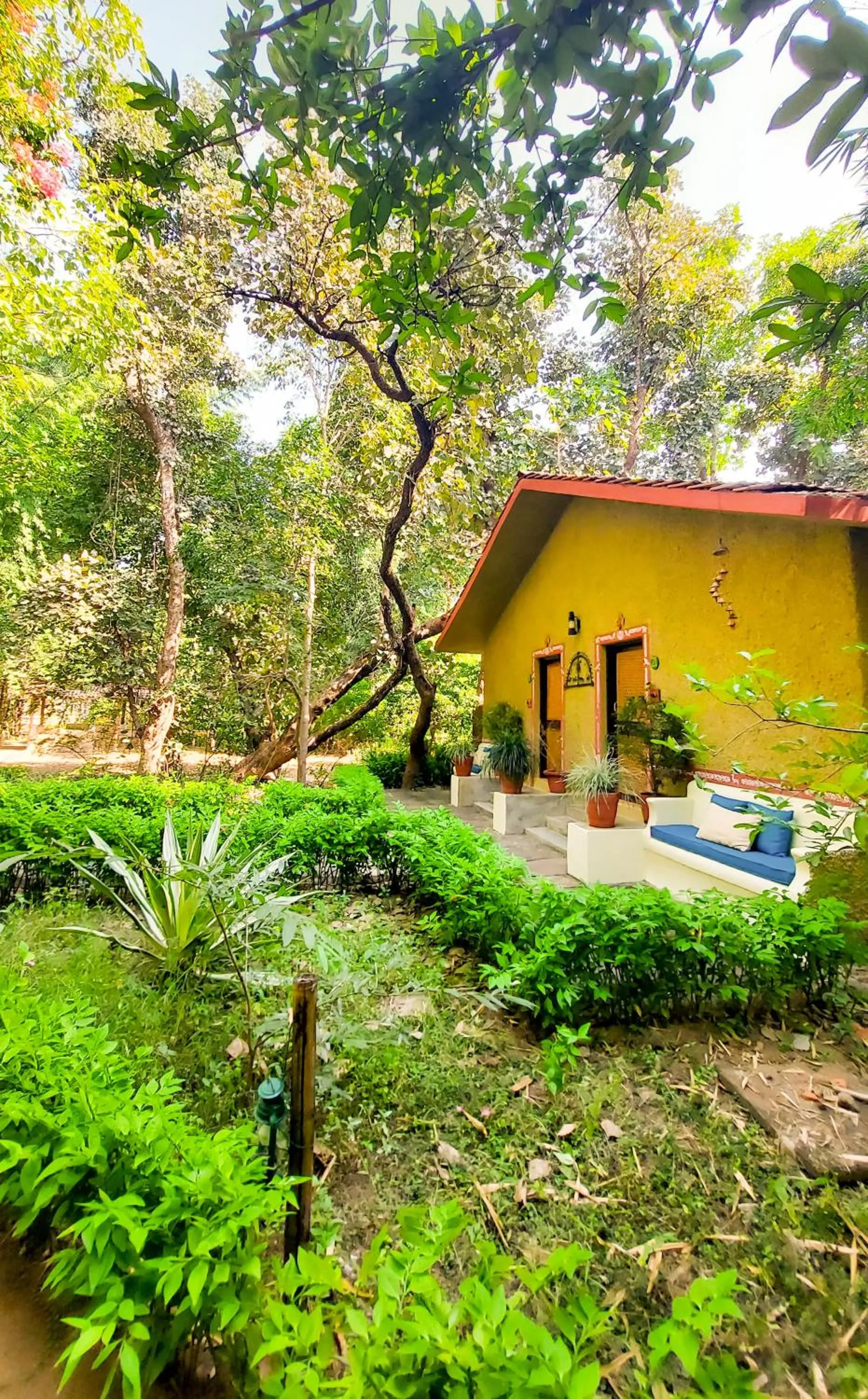 Patio in Bandhavgarh Jungle Lodge