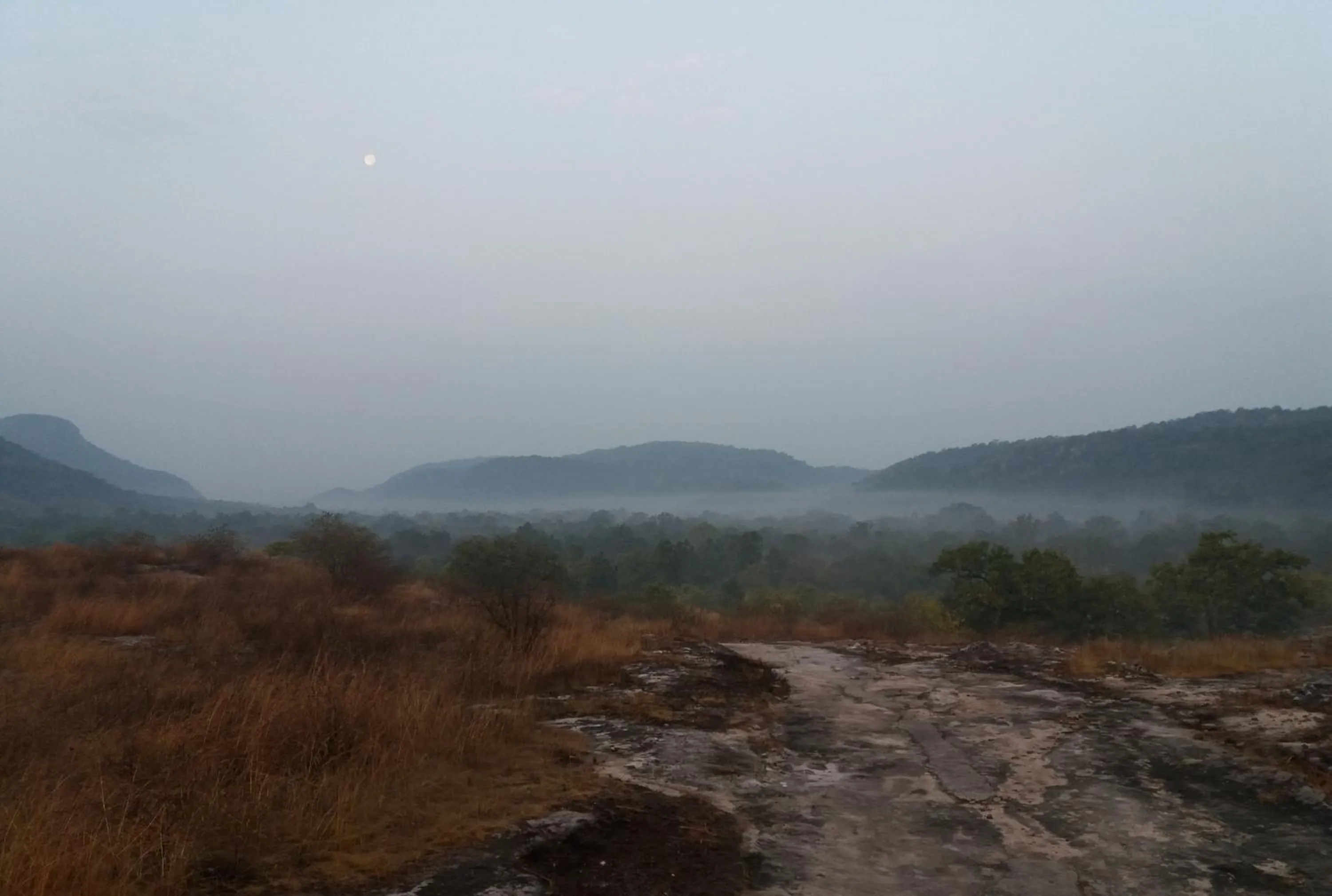 Natural landscape in Bandhavgarh Jungle Lodge