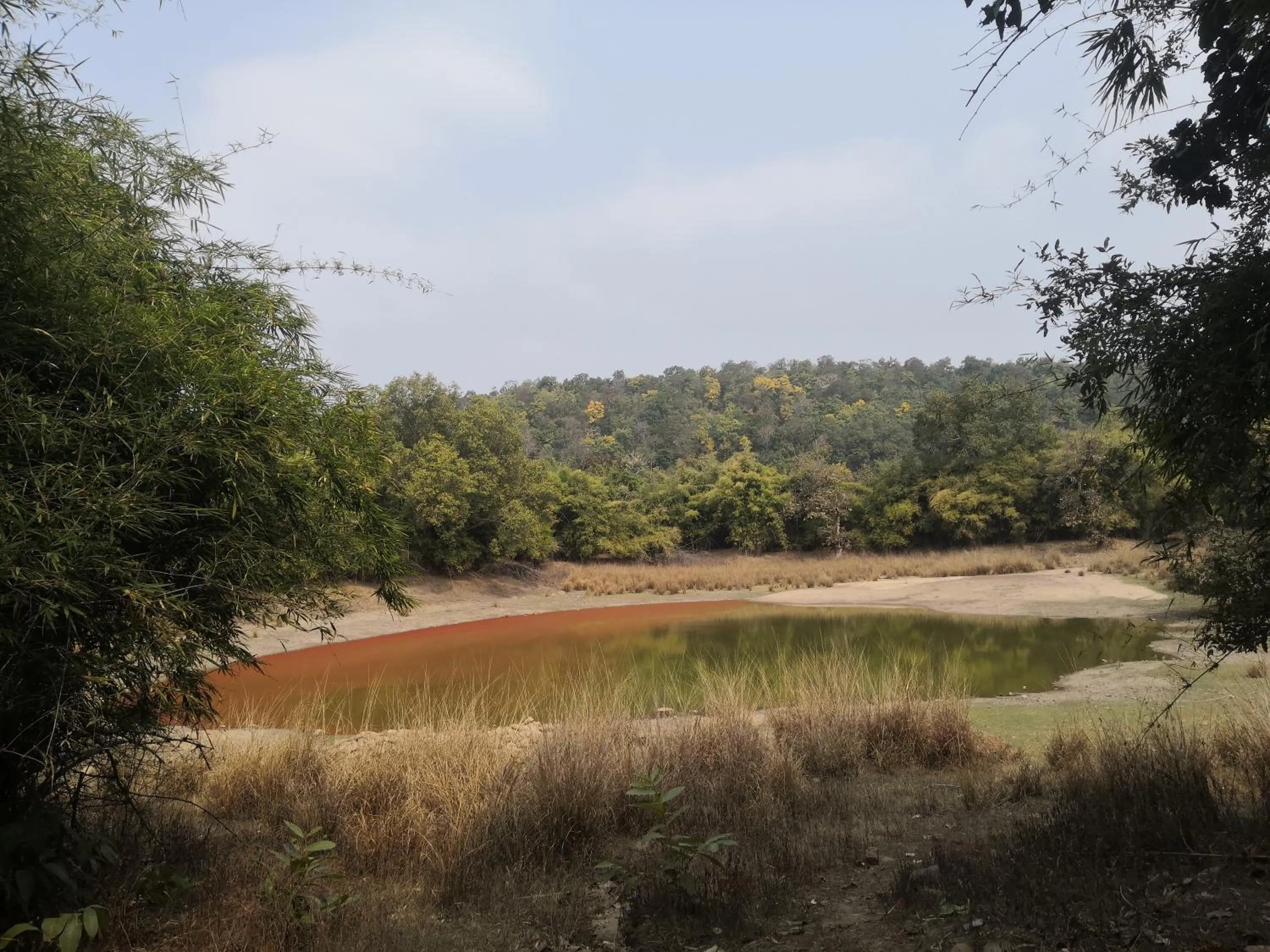Natural landscape in Bandhavgarh Jungle Lodge