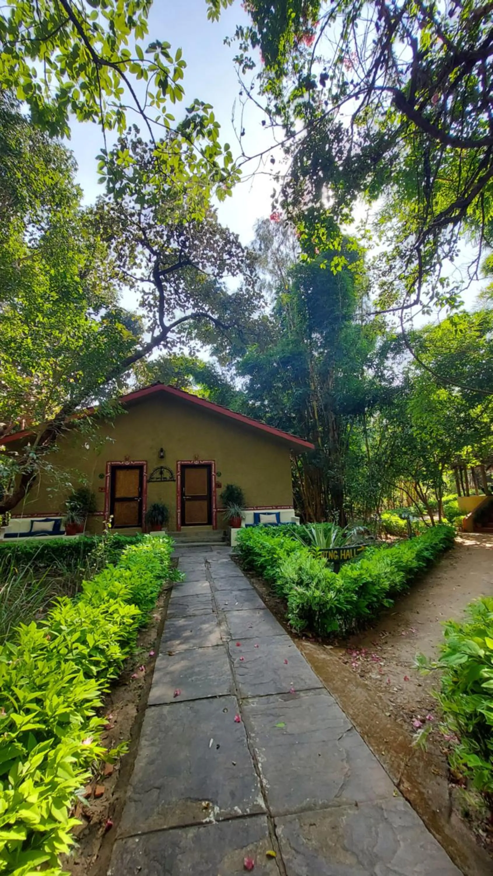 View (from property/room) in Bandhavgarh Jungle Lodge