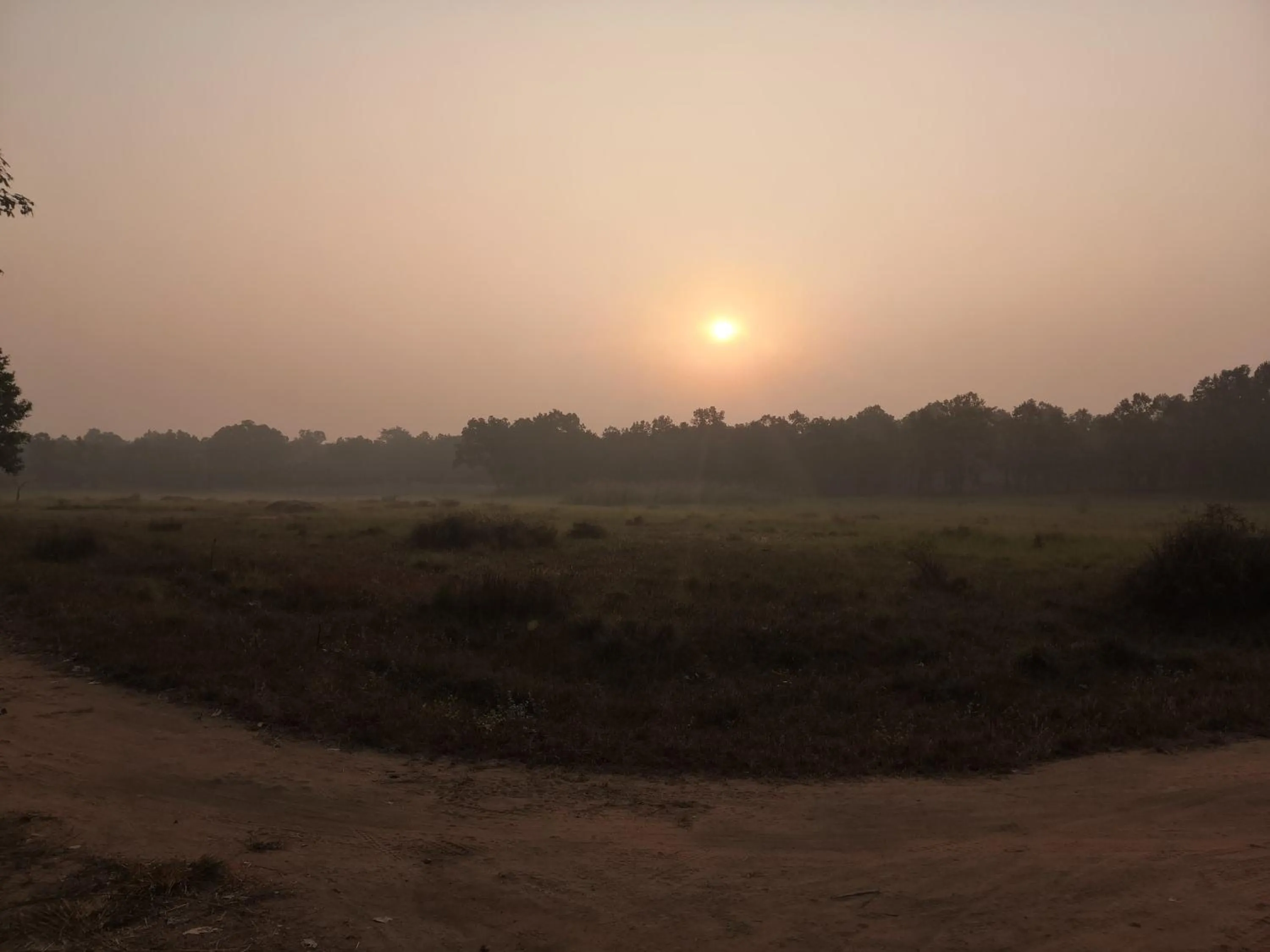 Sunrise in Bandhavgarh Jungle Lodge