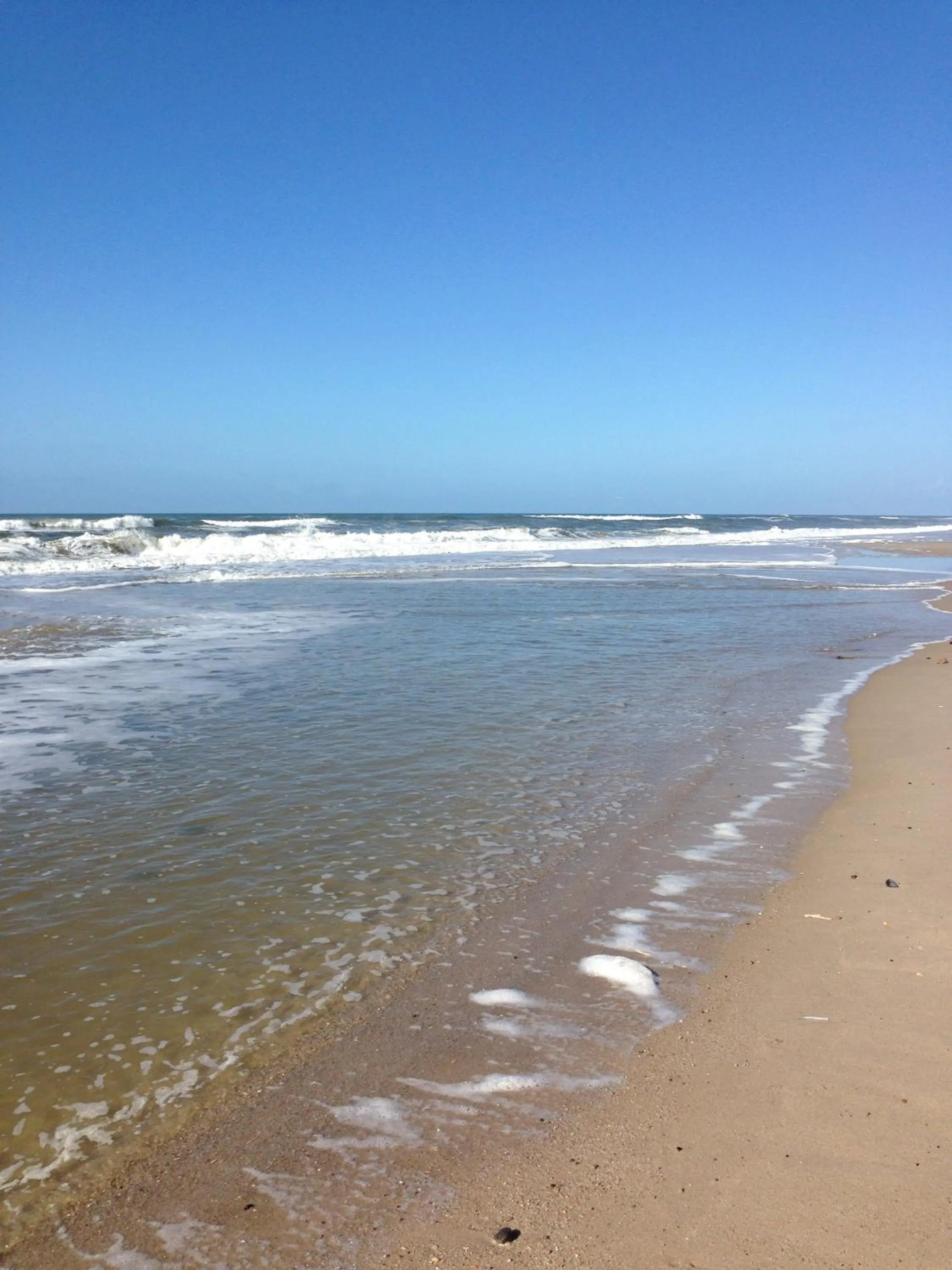 Natural landscape in Haus Bomhoff Sylt