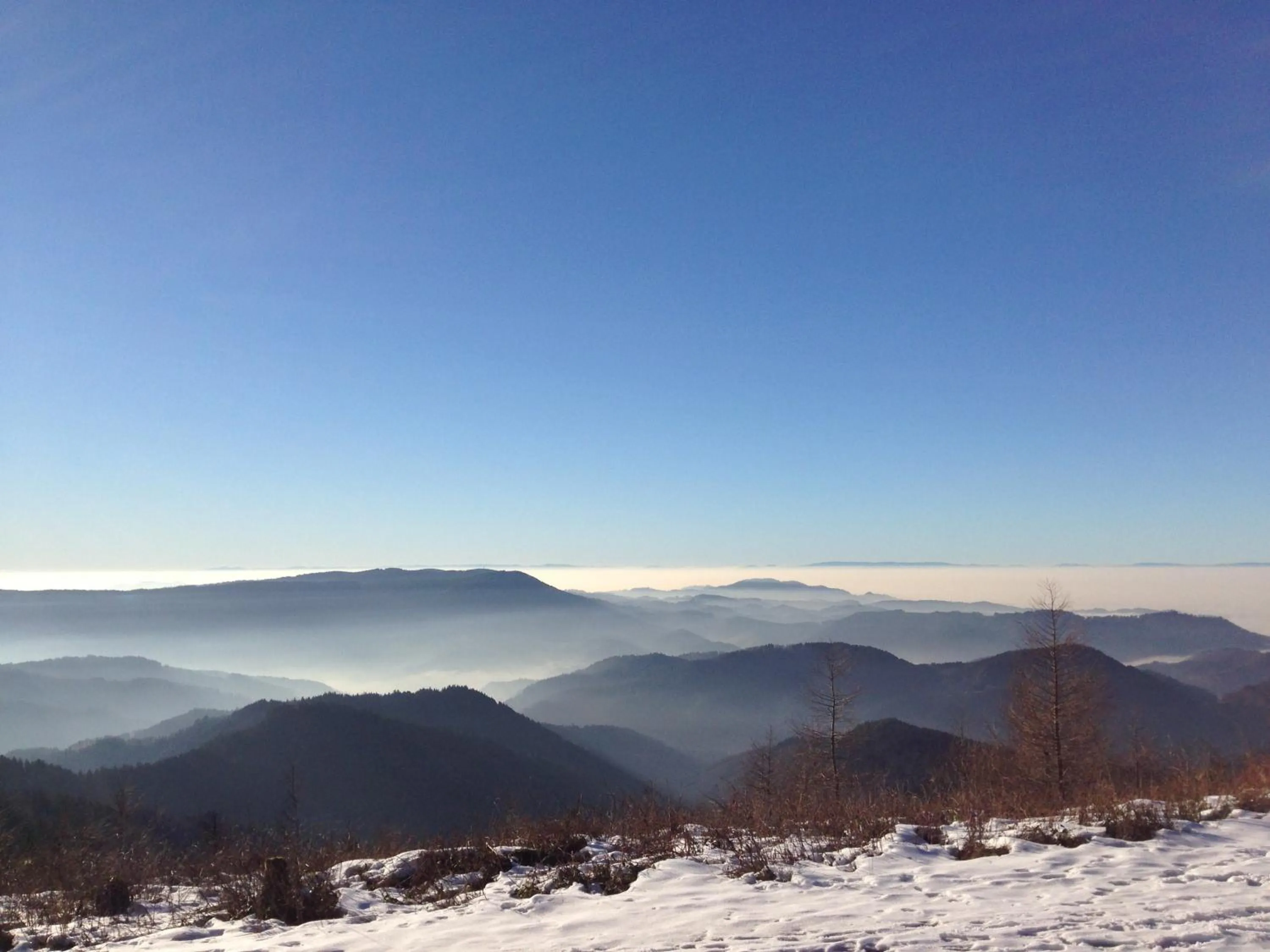 Natural landscape in Pflugwirts Hotel und Gasthaus
