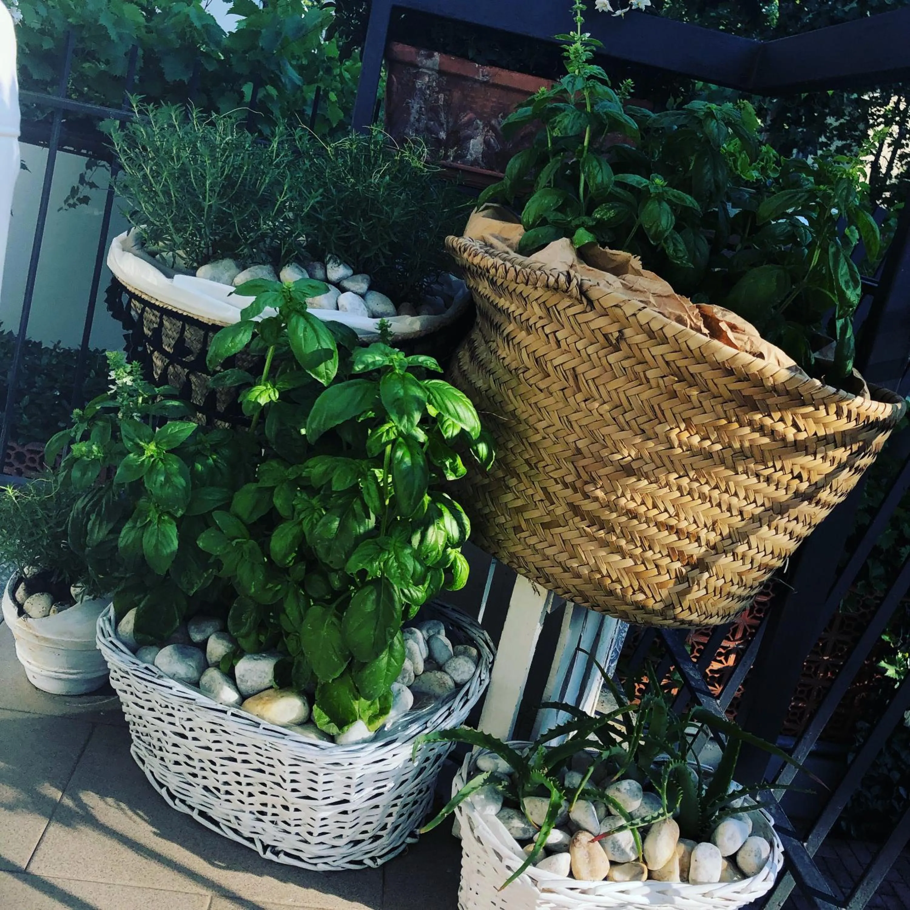 Decorative detail in Hotel Lux