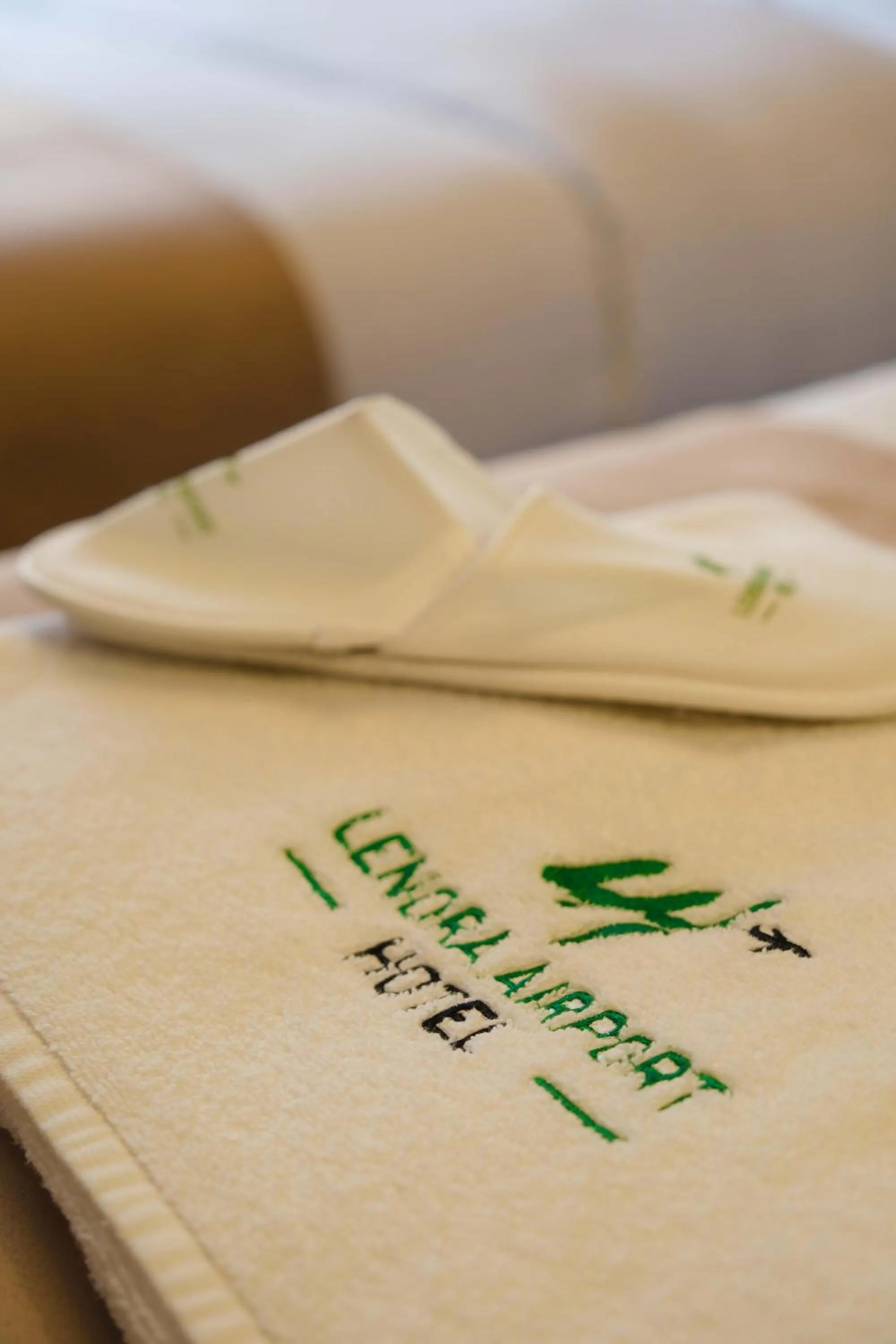 towels in Lenora Airport Hotel