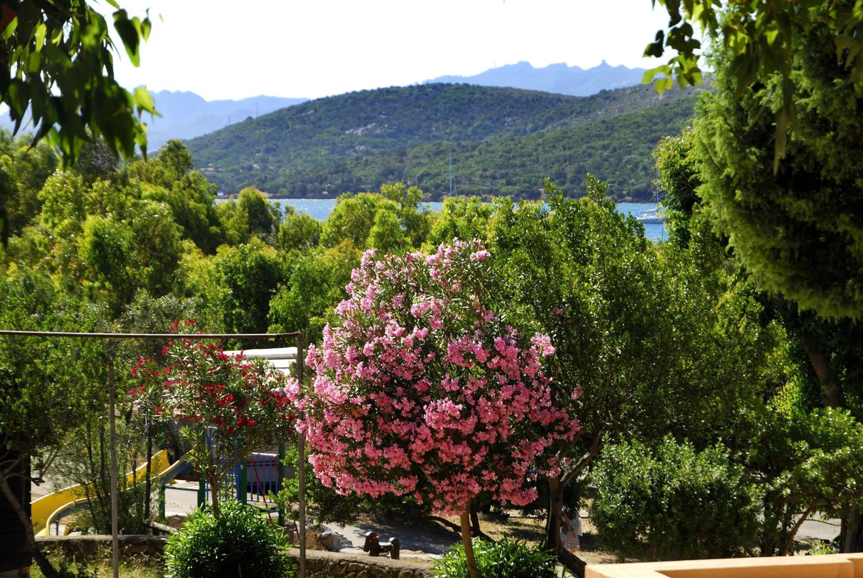 View (from property/room) in Camping Village Capo D'Orso