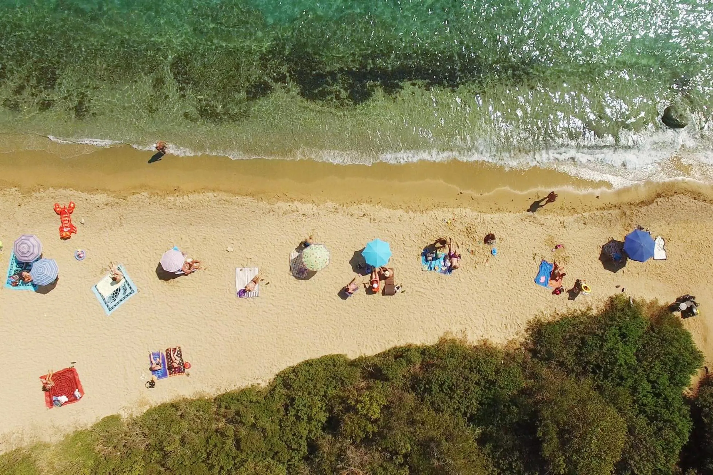 Bird's eye view in Camping Village Capo D'Orso
