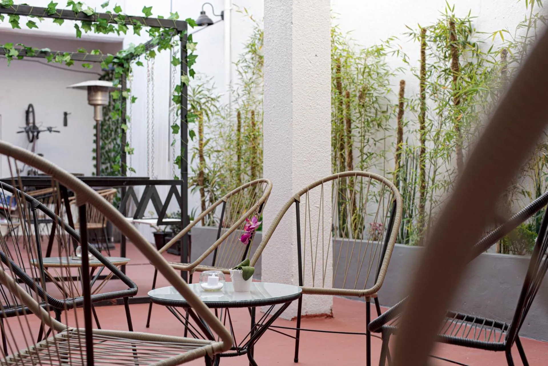 Garden in PH Palermo Hostel