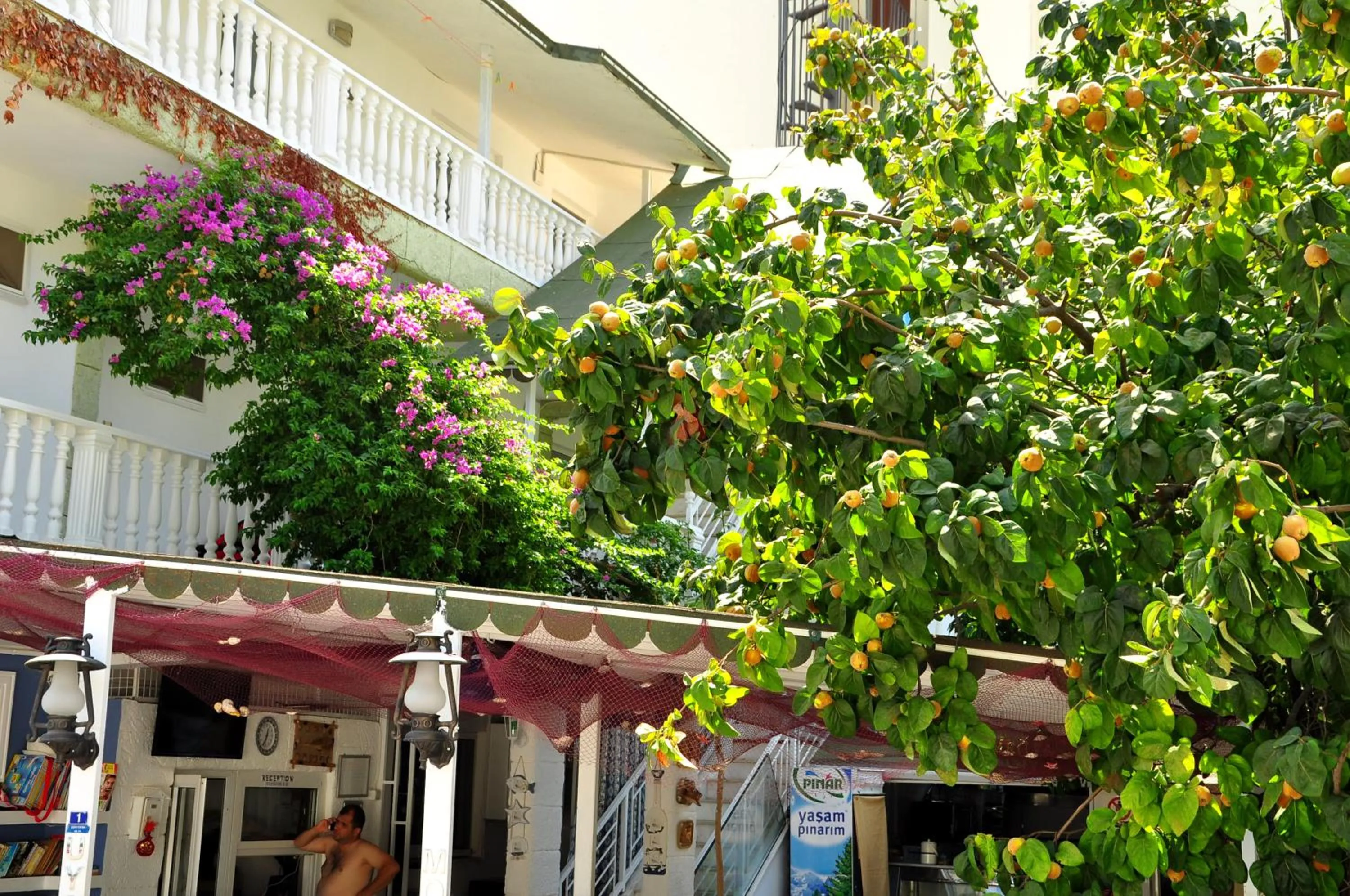 Garden in Uysal Hotel