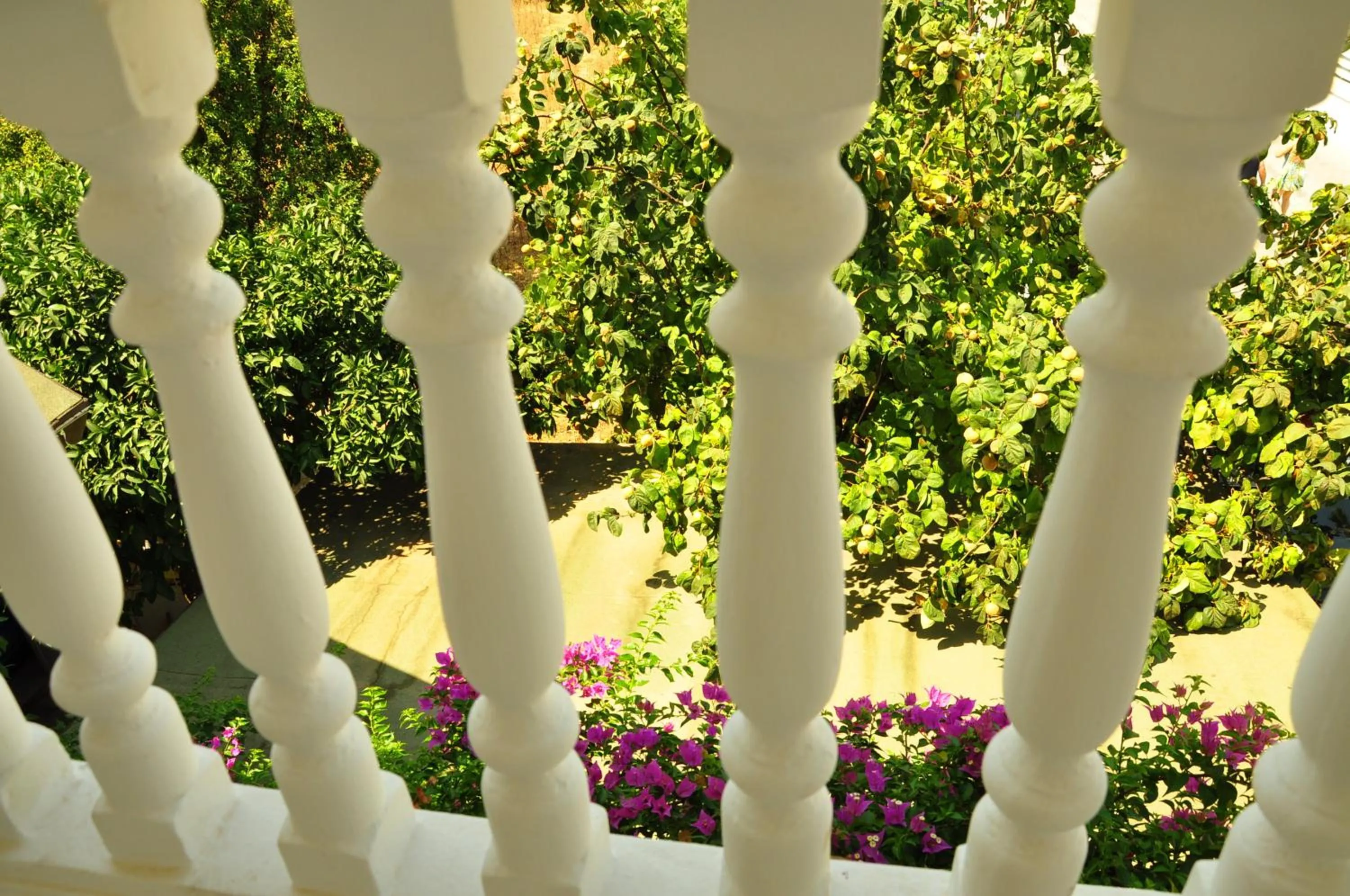 Bird's eye view in Uysal Hotel