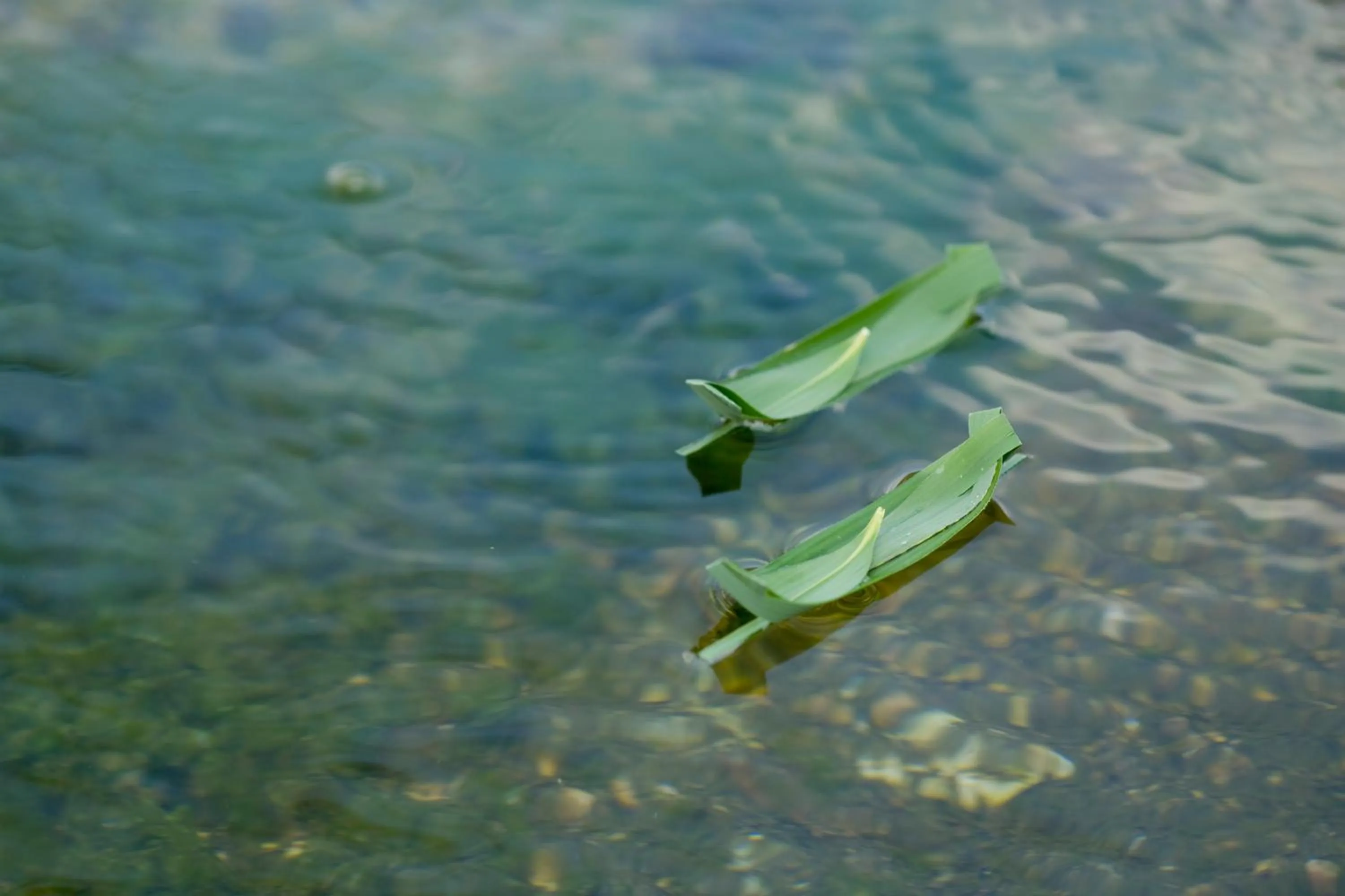 Other in Bettei Soan