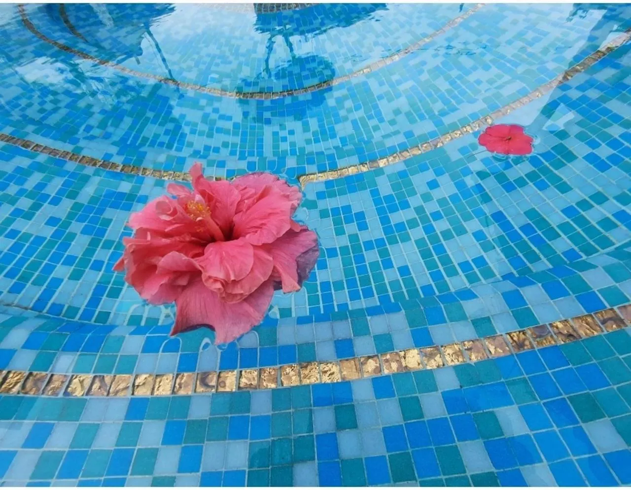 Swimming pool in Hotel Ricchi