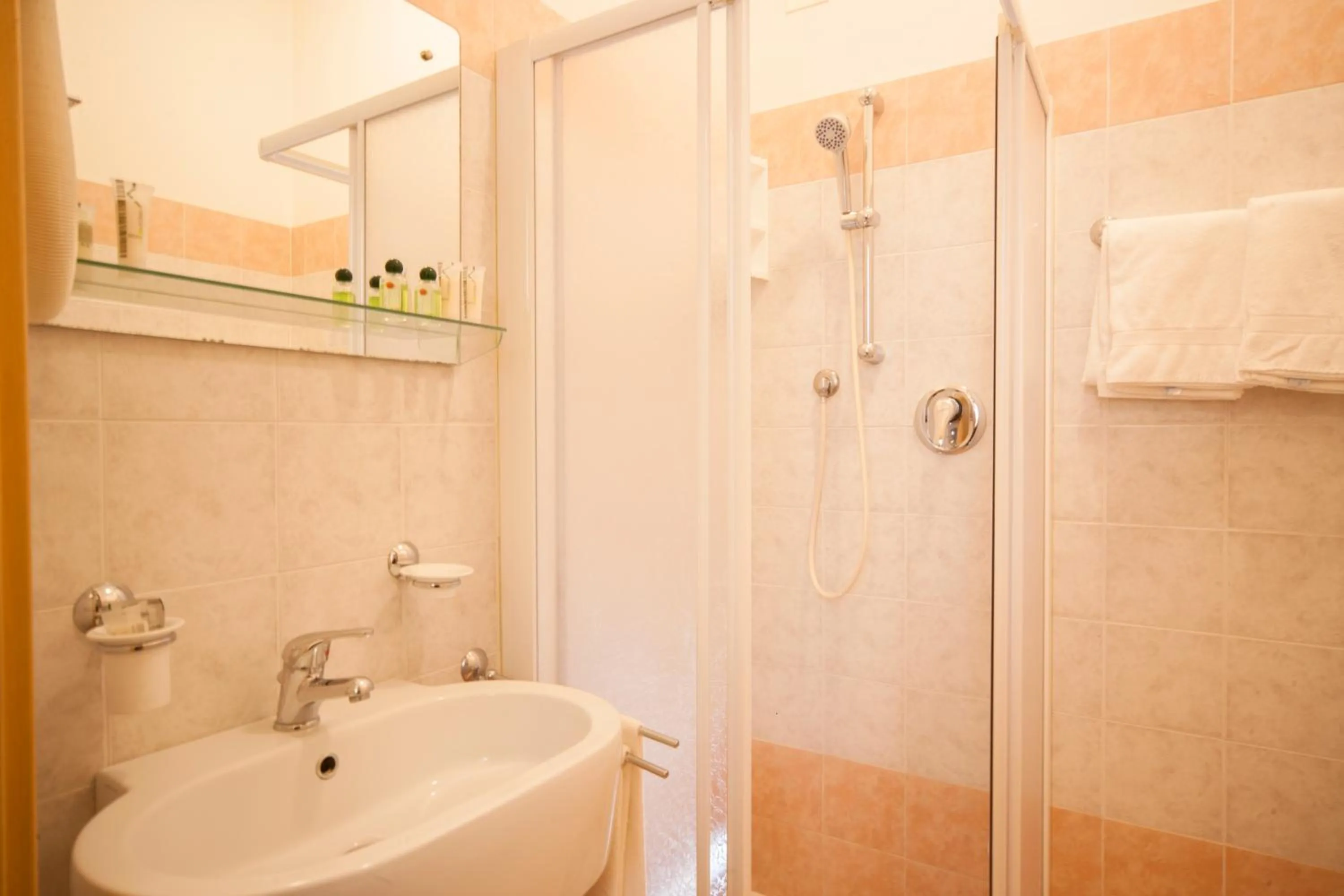 Shower in Hotel Ricchi