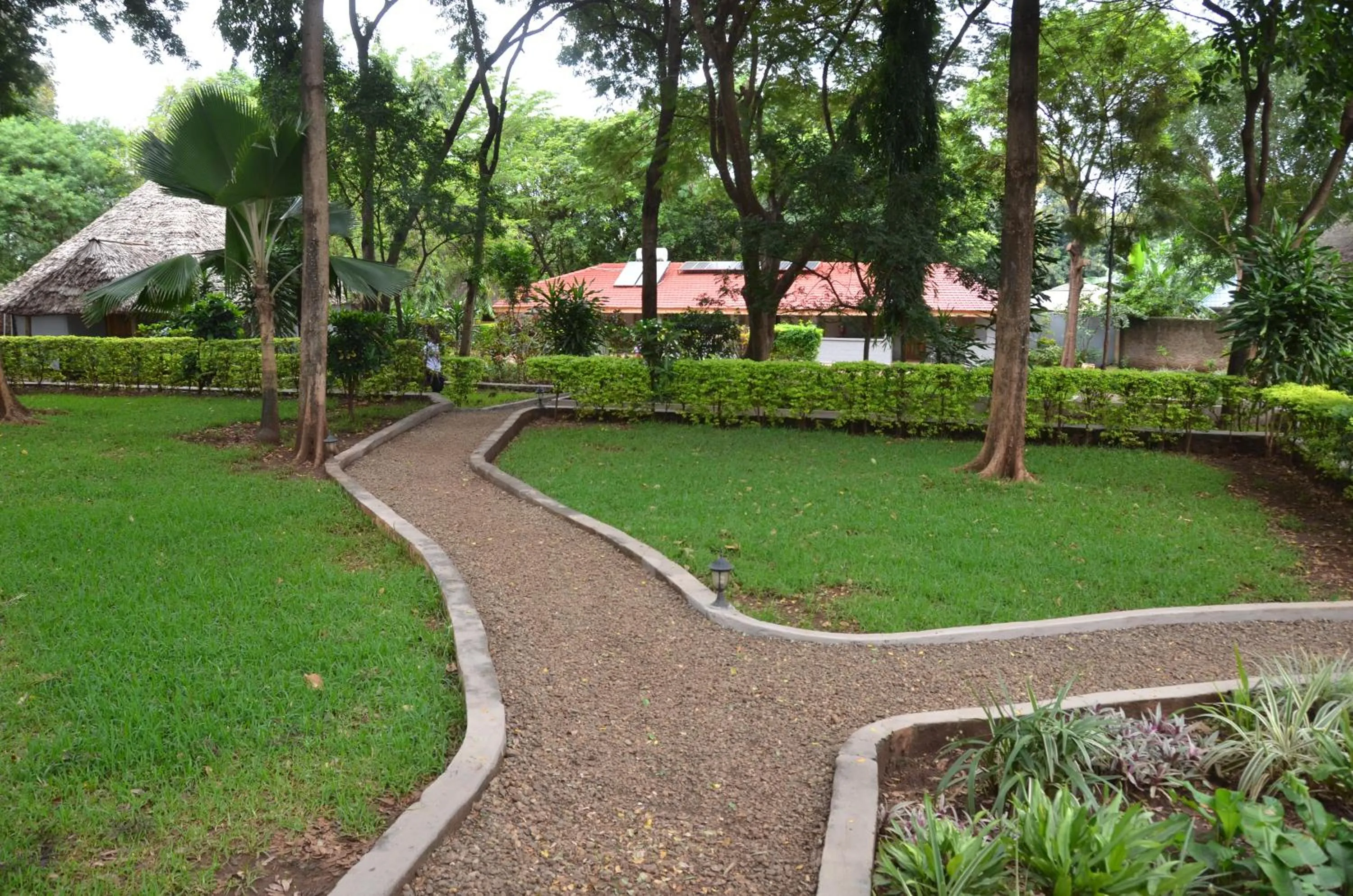 Garden in Honey Badger Lodge