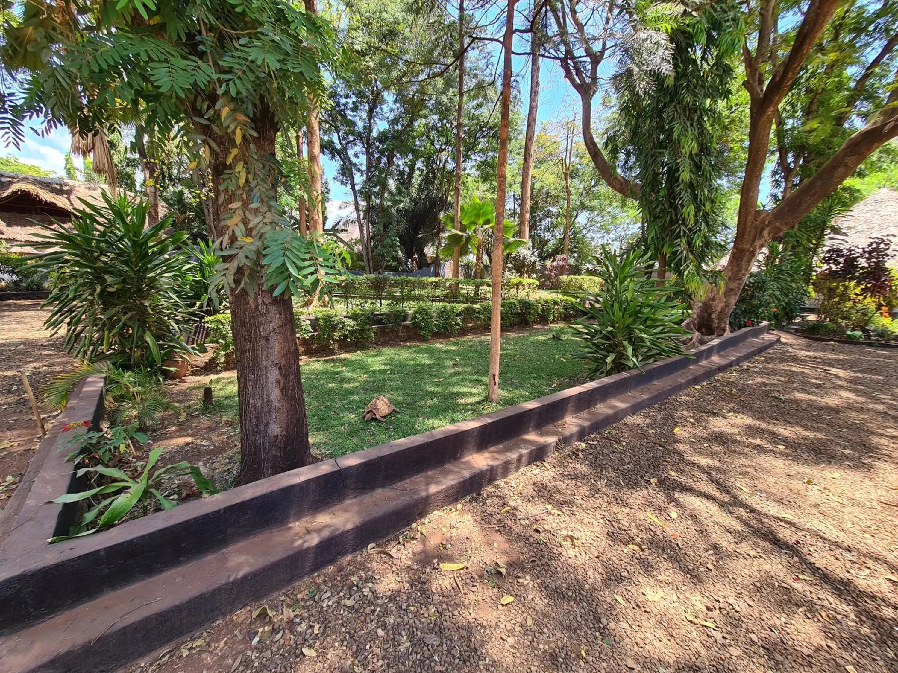 Garden in Honey Badger Lodge