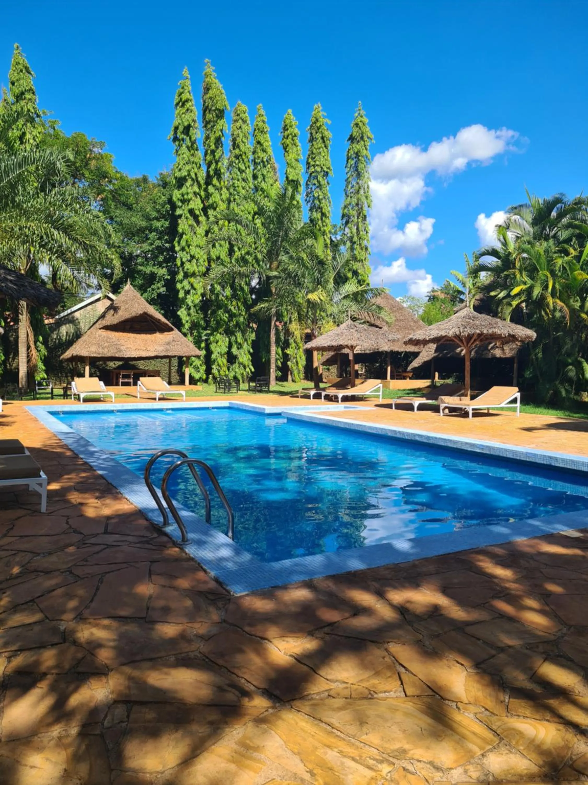 Swimming pool in Honey Badger Lodge