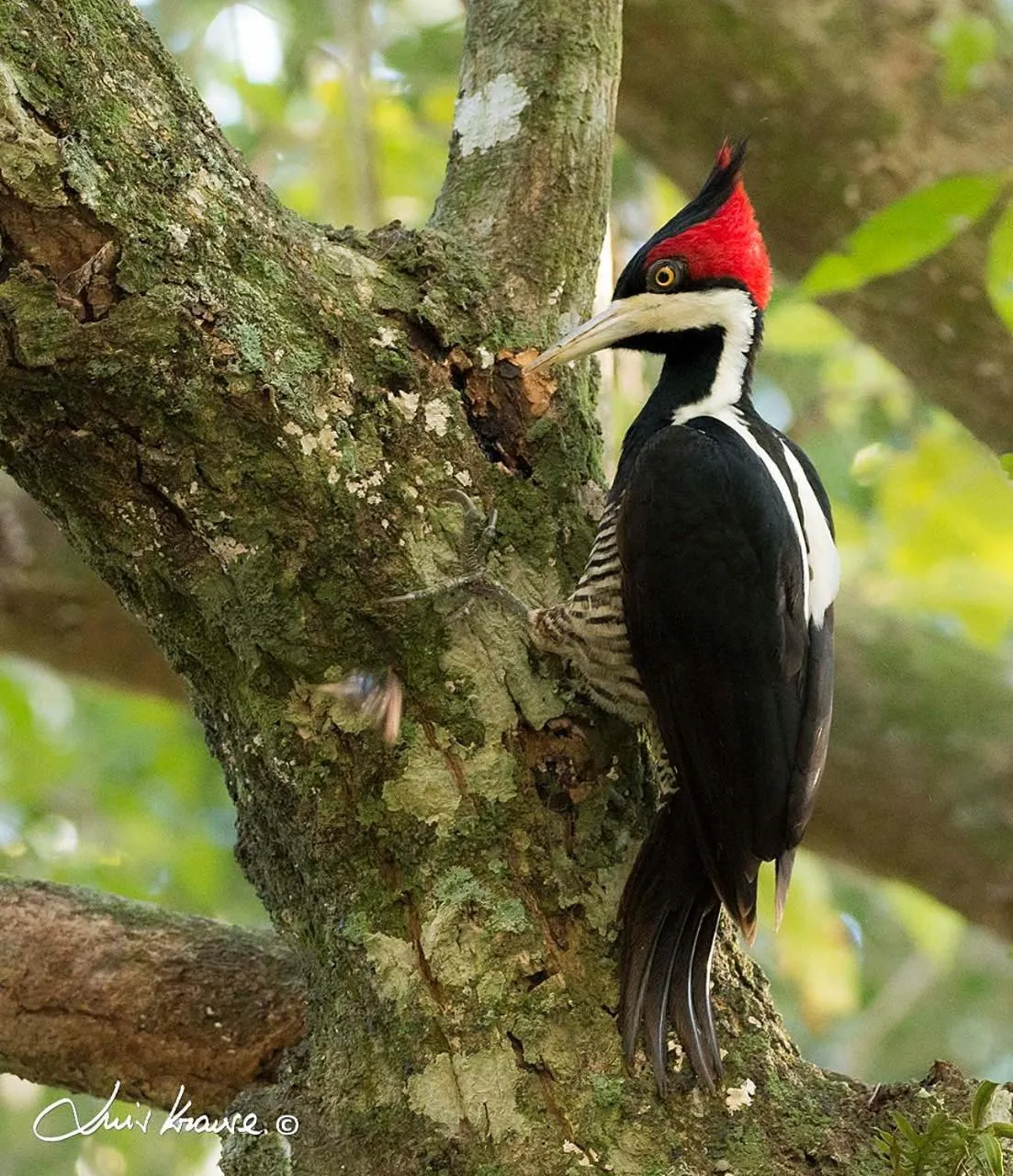 Day in O Canto do Vale Trancoso