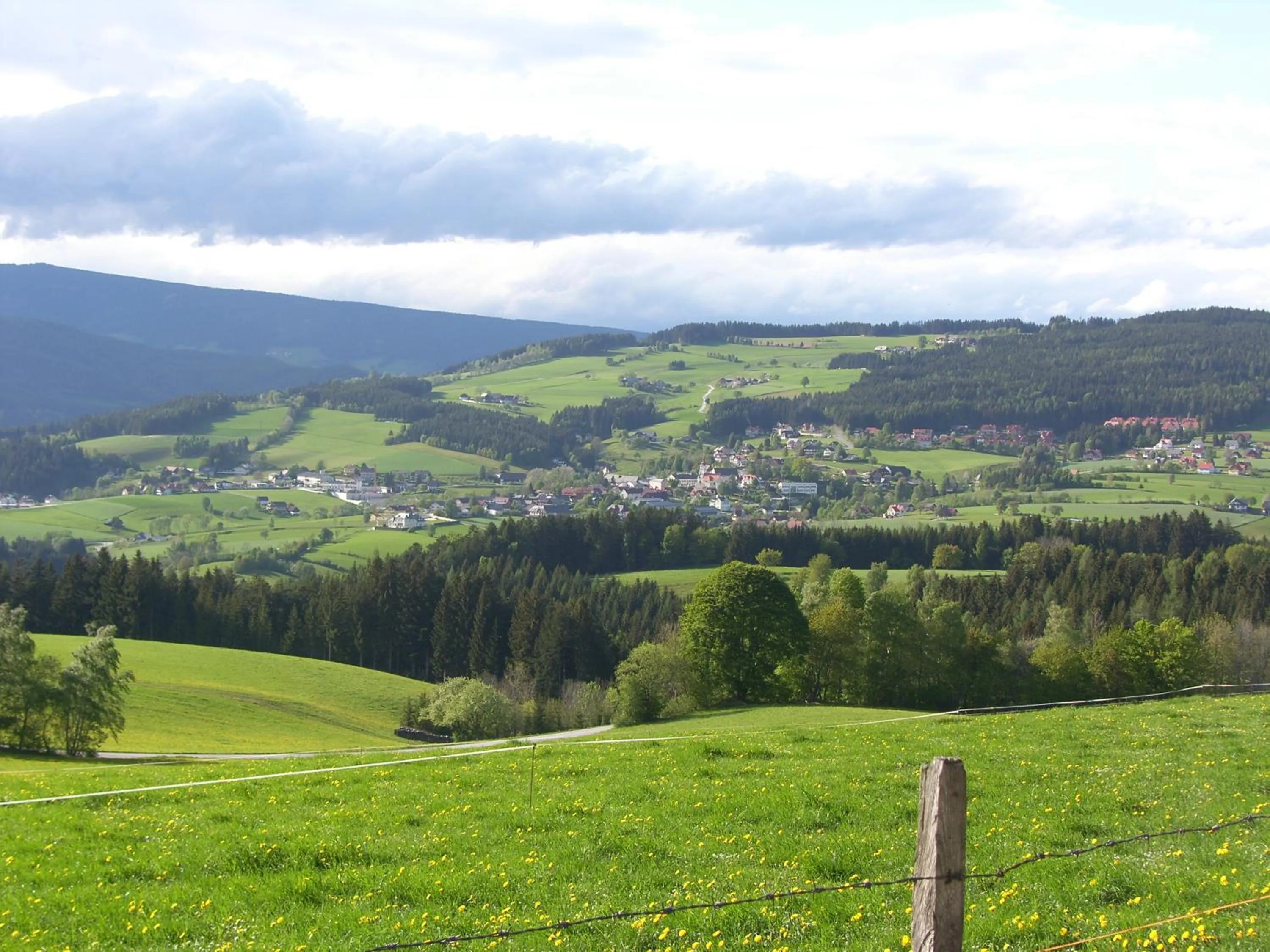 View (from property/room) in Der Almblick