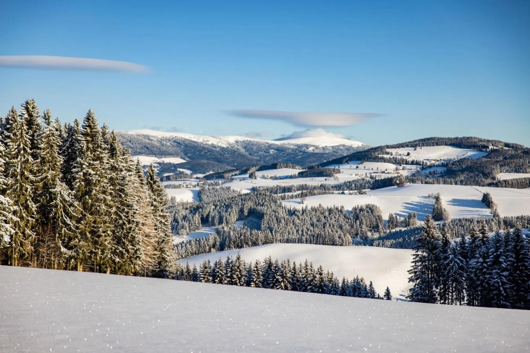 View (from property/room) in Der Almblick