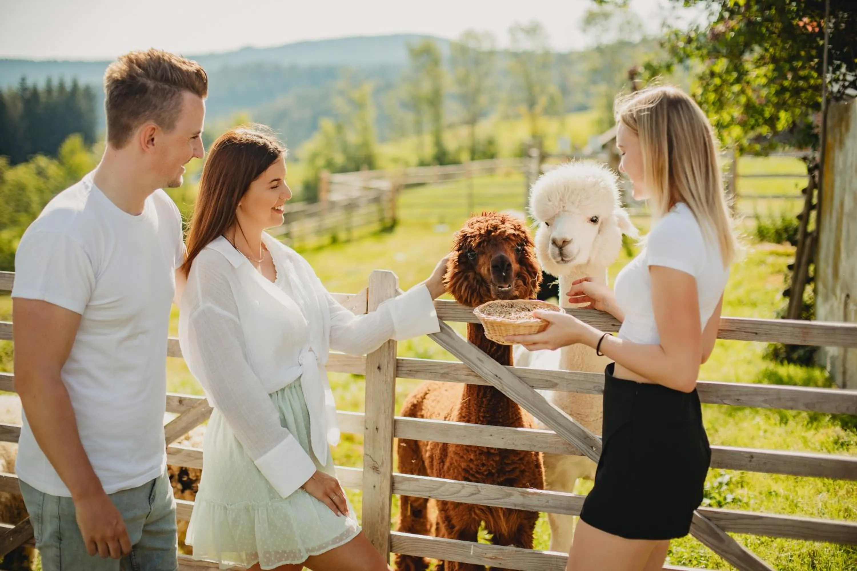 Natural landscape in Der Almblick