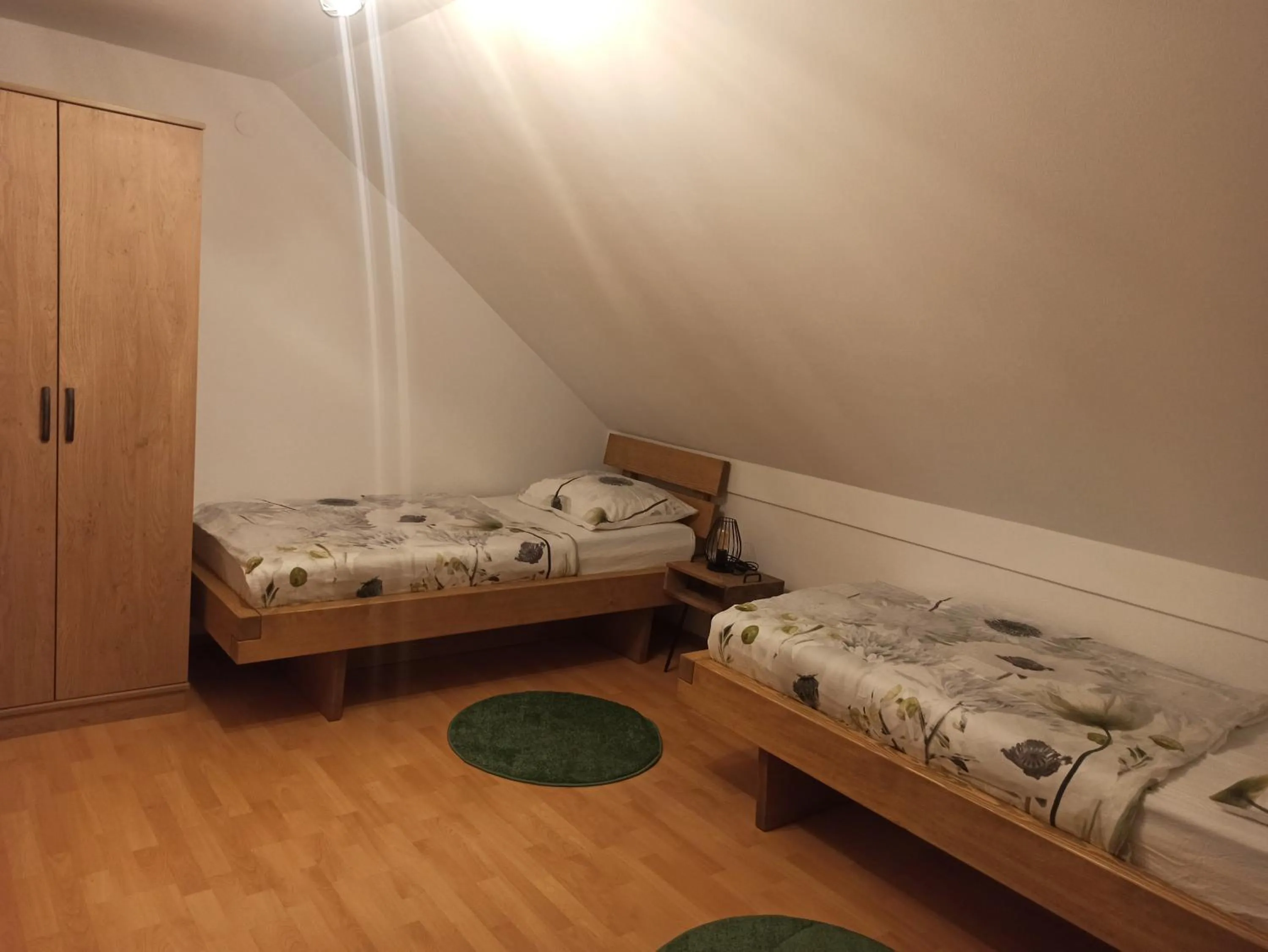 Apartments Skok