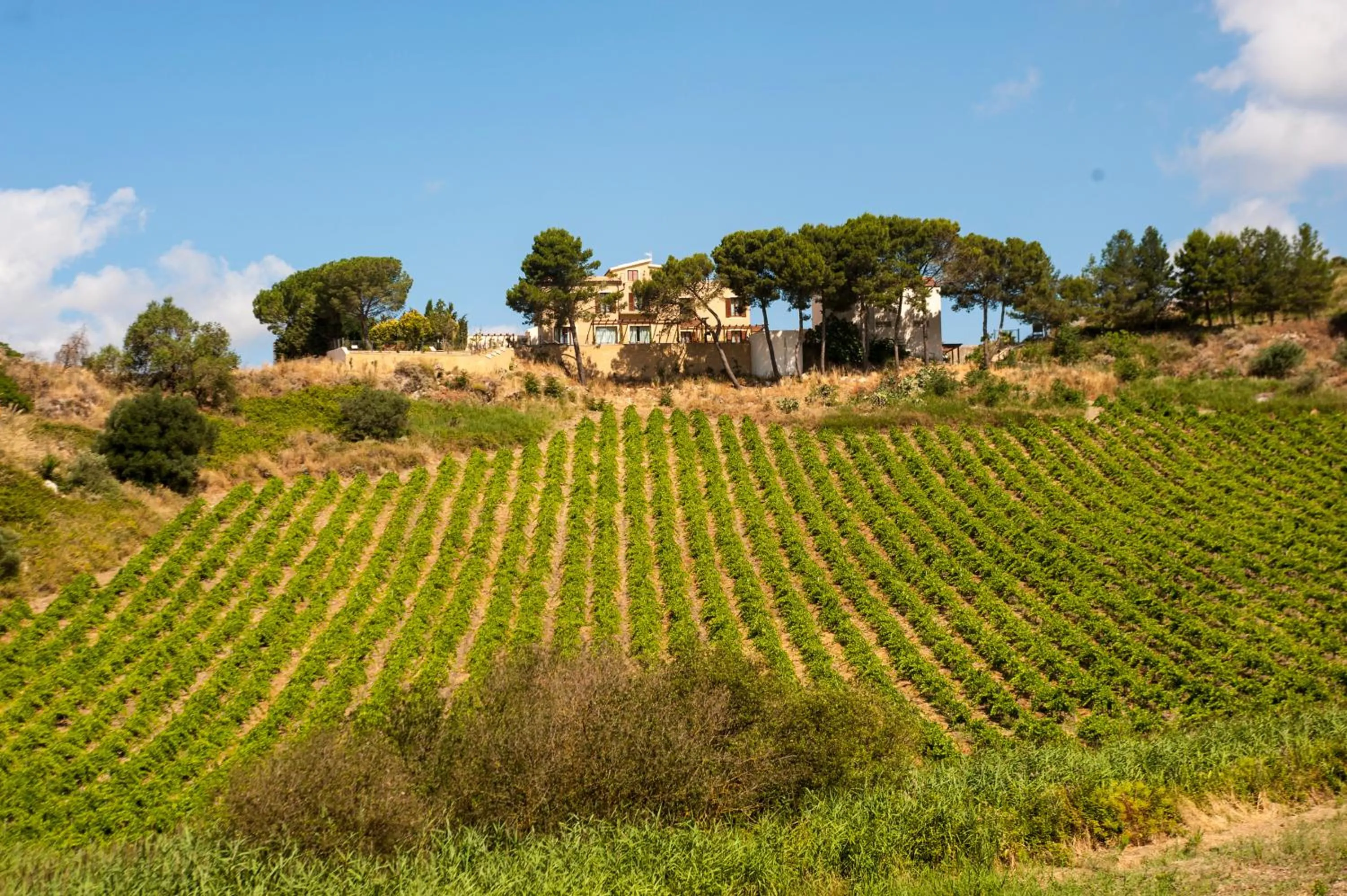 Property building in Feudo Del Biviere