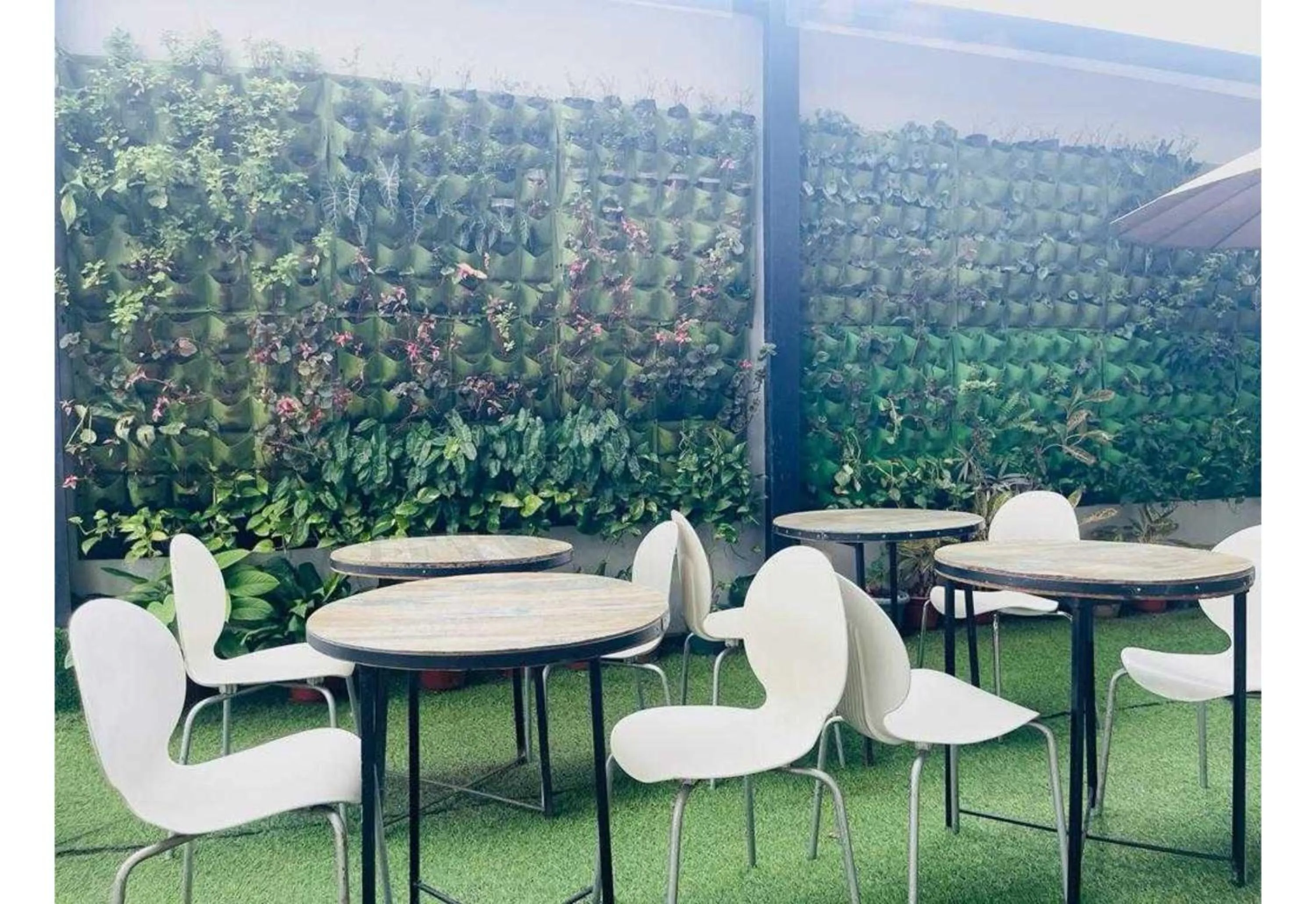 OYO 1008 Armond Bed And Breakfast