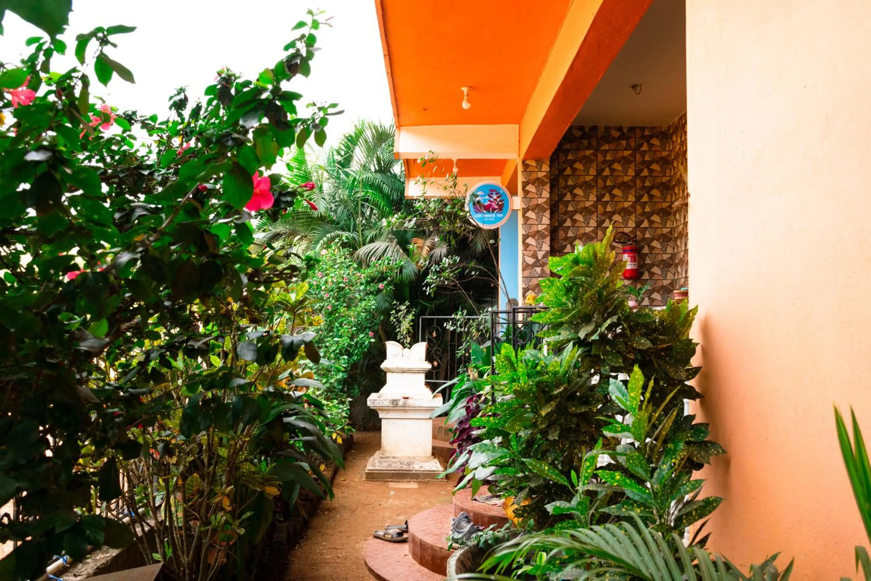 Last Minute Trip Hostel Morjim-By The Sea