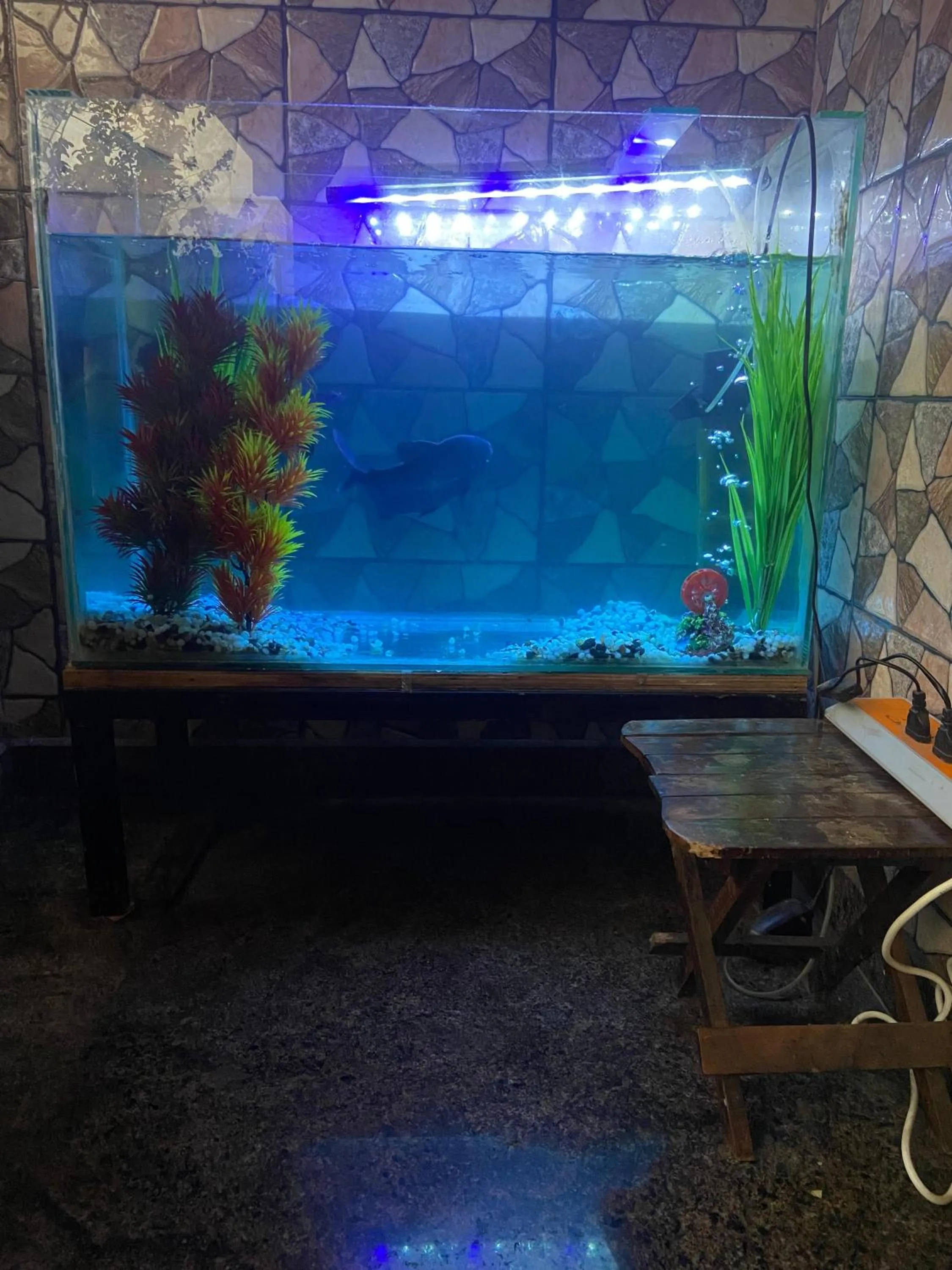 Last Minute Trip Hostel Morjim-By The Sea