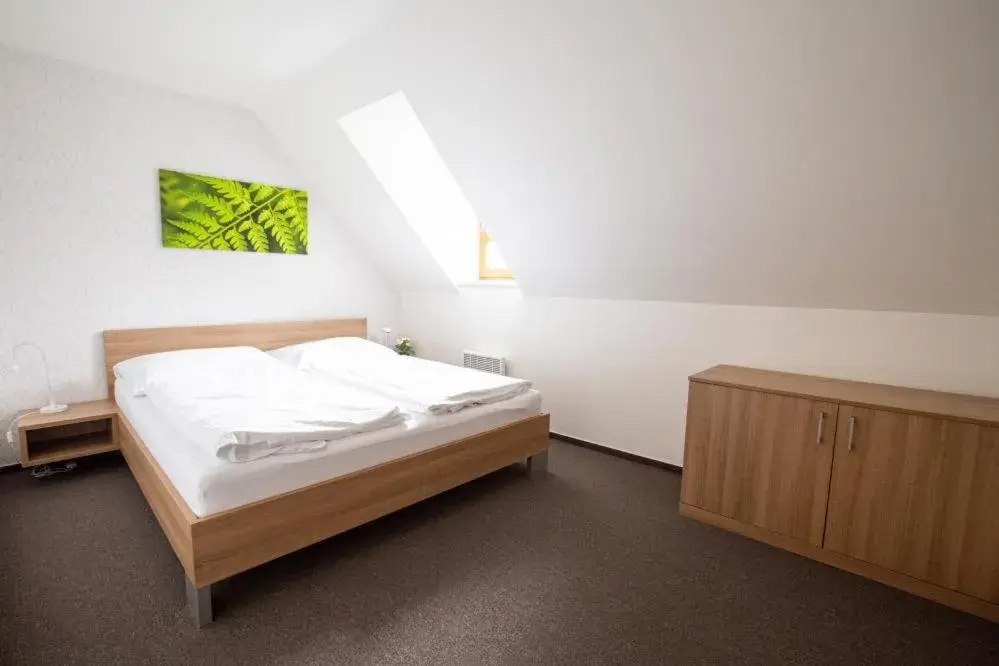 Mezonet Quadruple Room in Wellness Hotel Říčky Mezonet Quadruple Room in Wellness Hotel Říčky